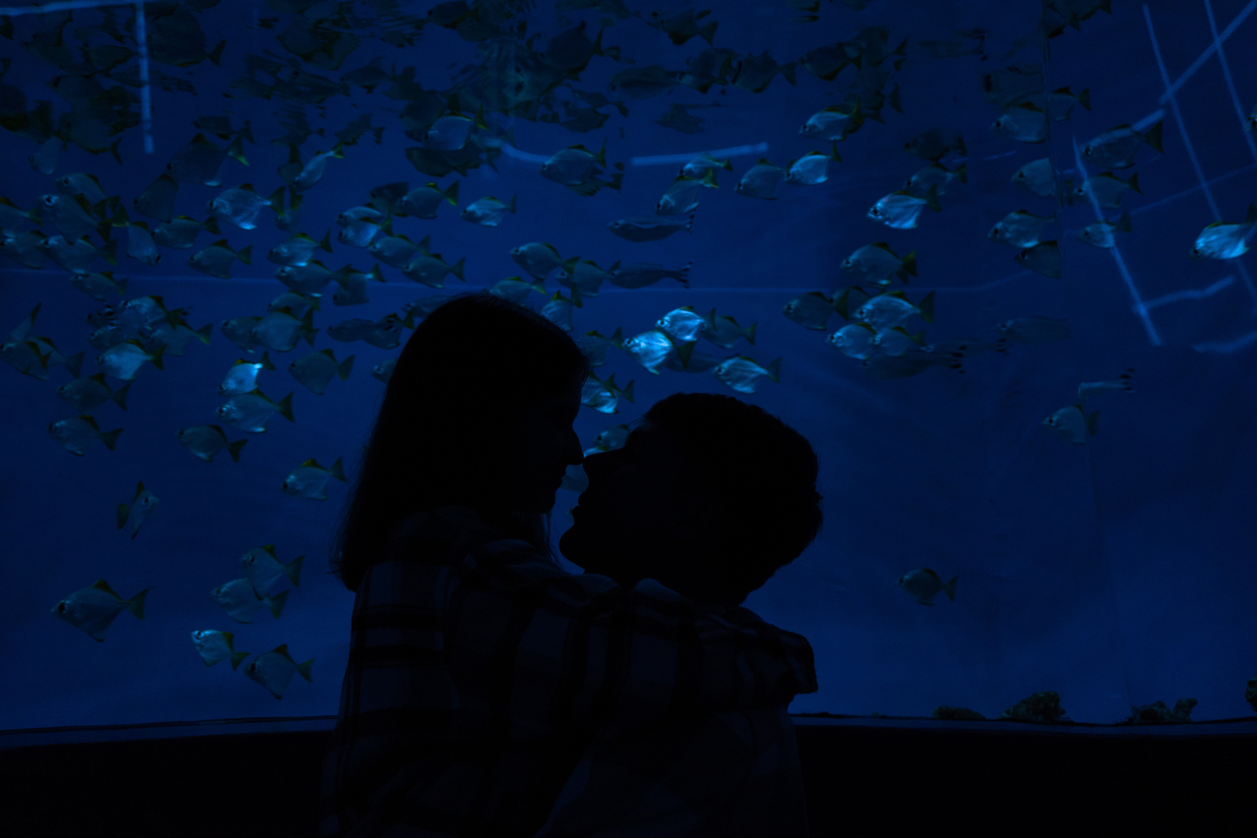 Рыбы. Фотограф Томск Новосибирск Елизавета Вахтеева