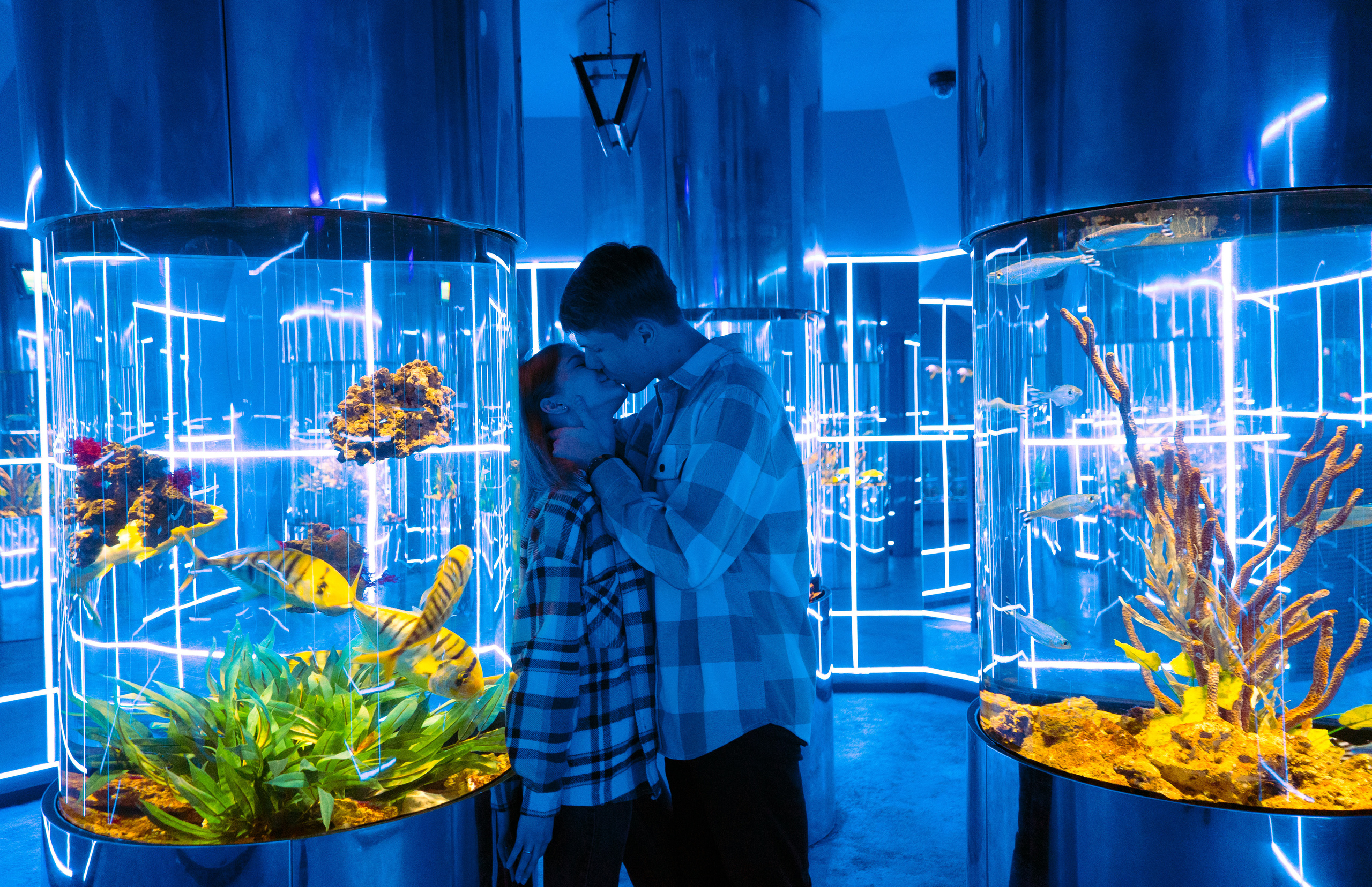 Рыбы. Фотограф Томск Новосибирск Елизавета Вахтеева