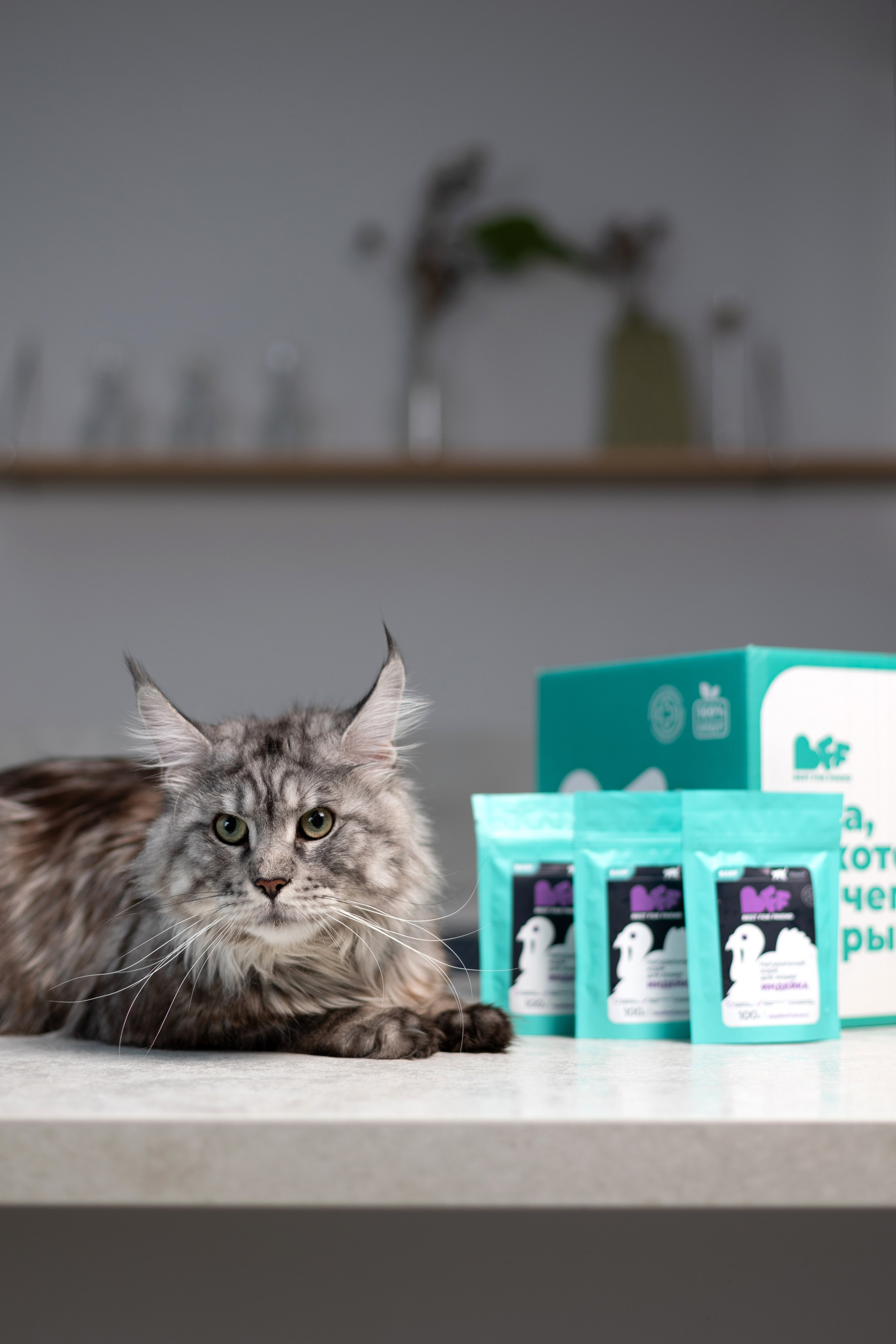 Best for friend (BFF). Фотограф анималист Кристина Карпова, Москва