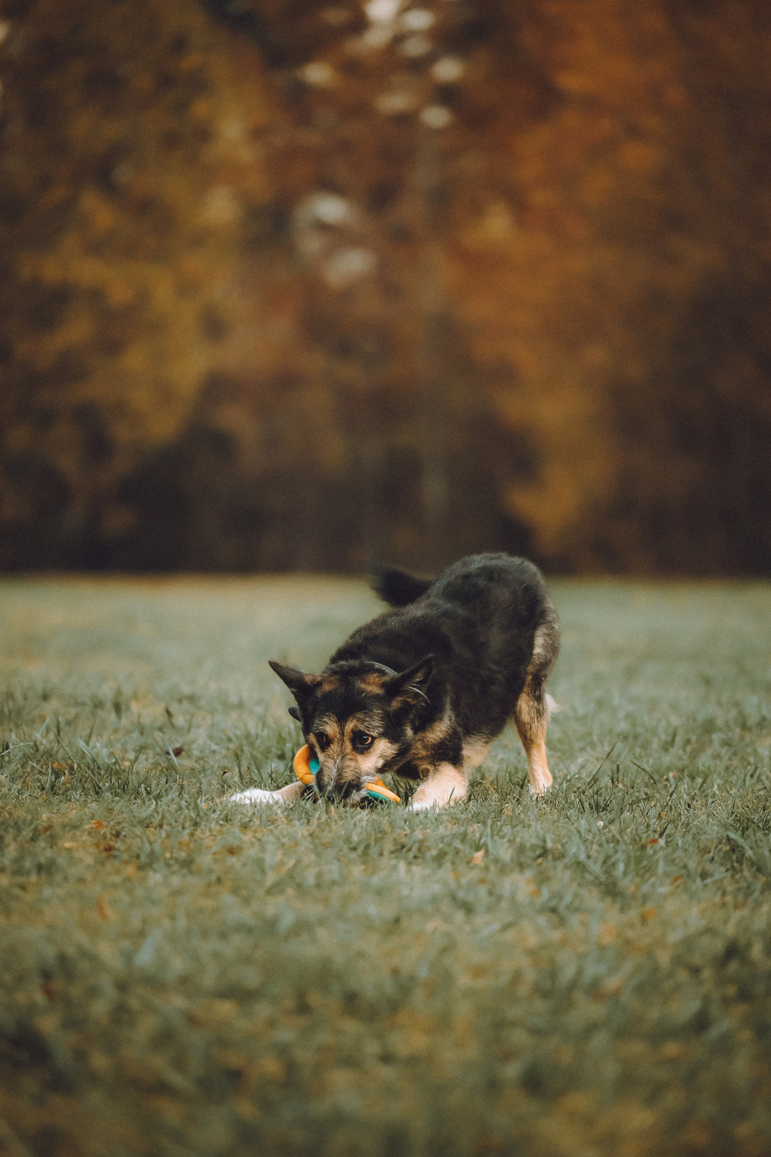 Рик, Джек и их семья