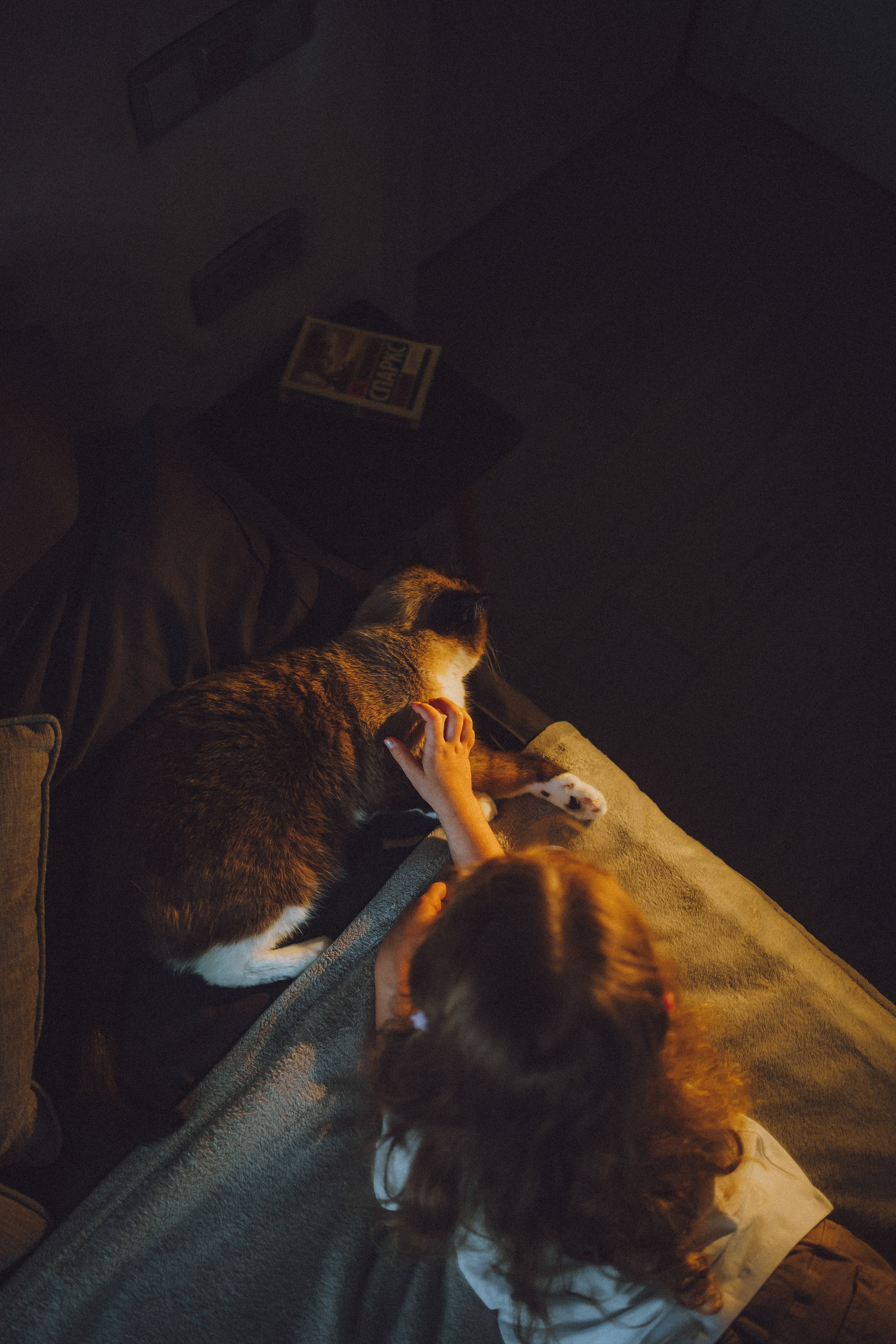 Наташа, Маруся и Зефир