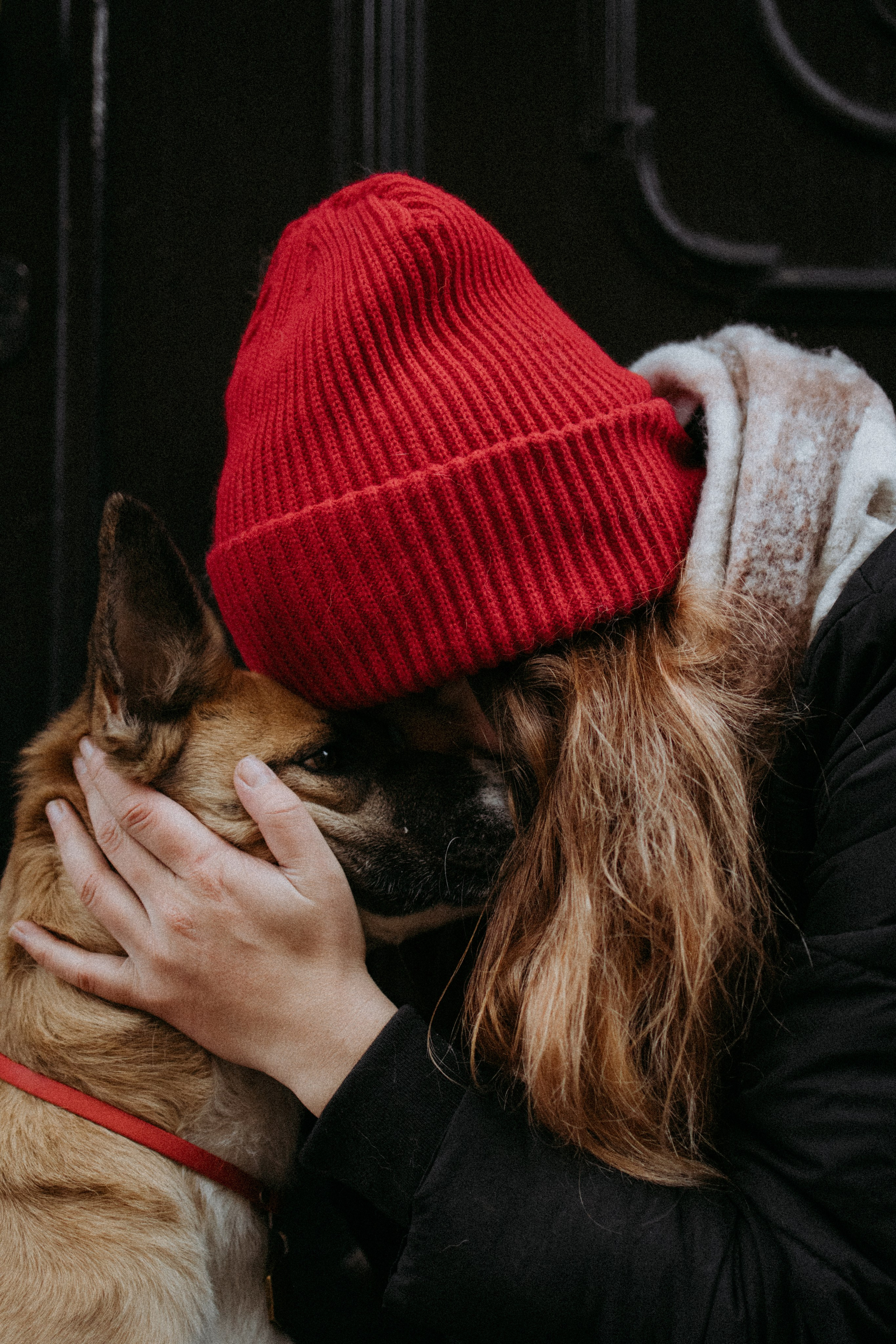 Саша, Ксюша и их банда. Фотораф — анималист Мария Шистка