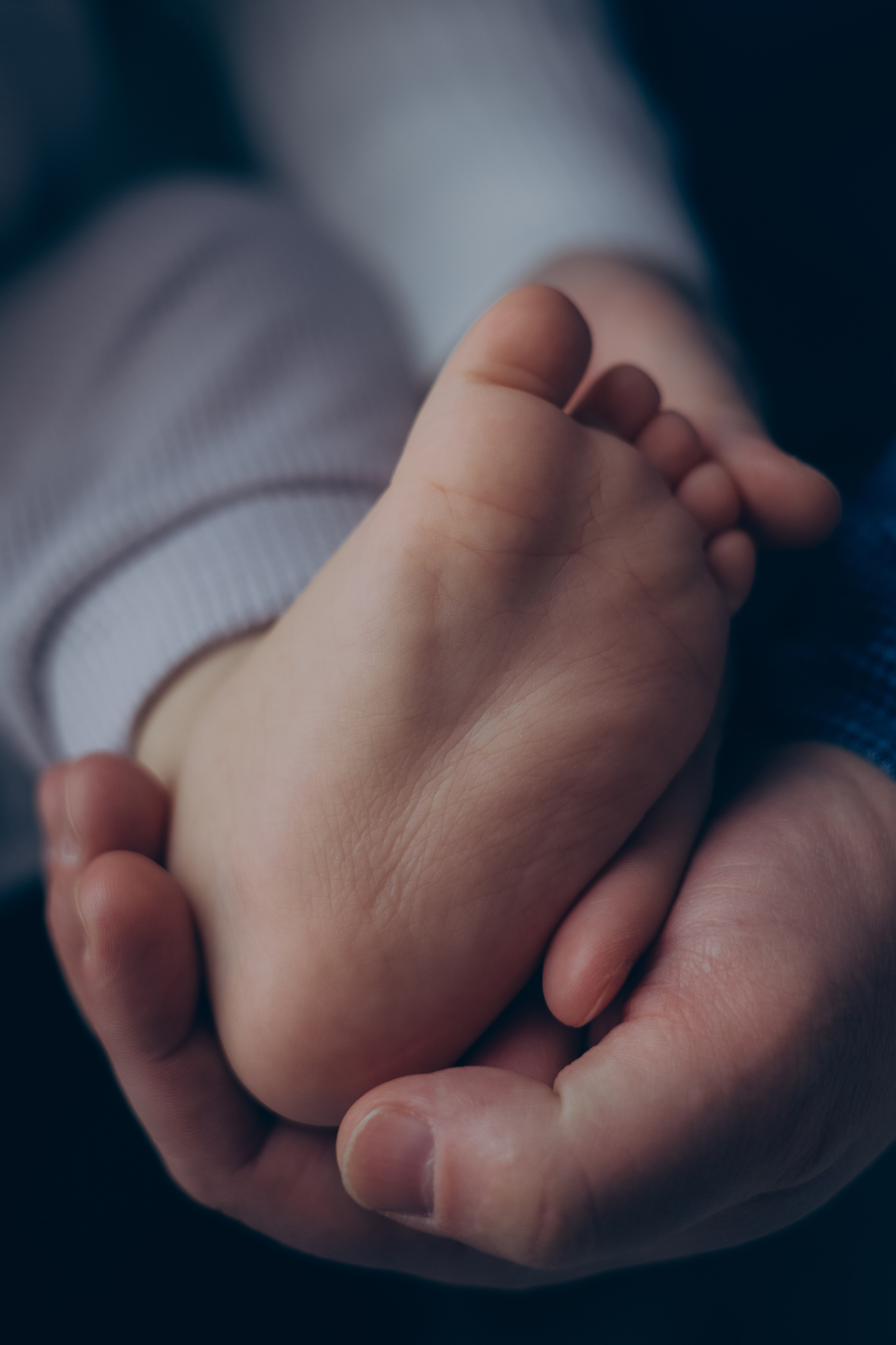 Витя, Ирина и Дима. Семейный фотограф в Сочи Любовь Переседова