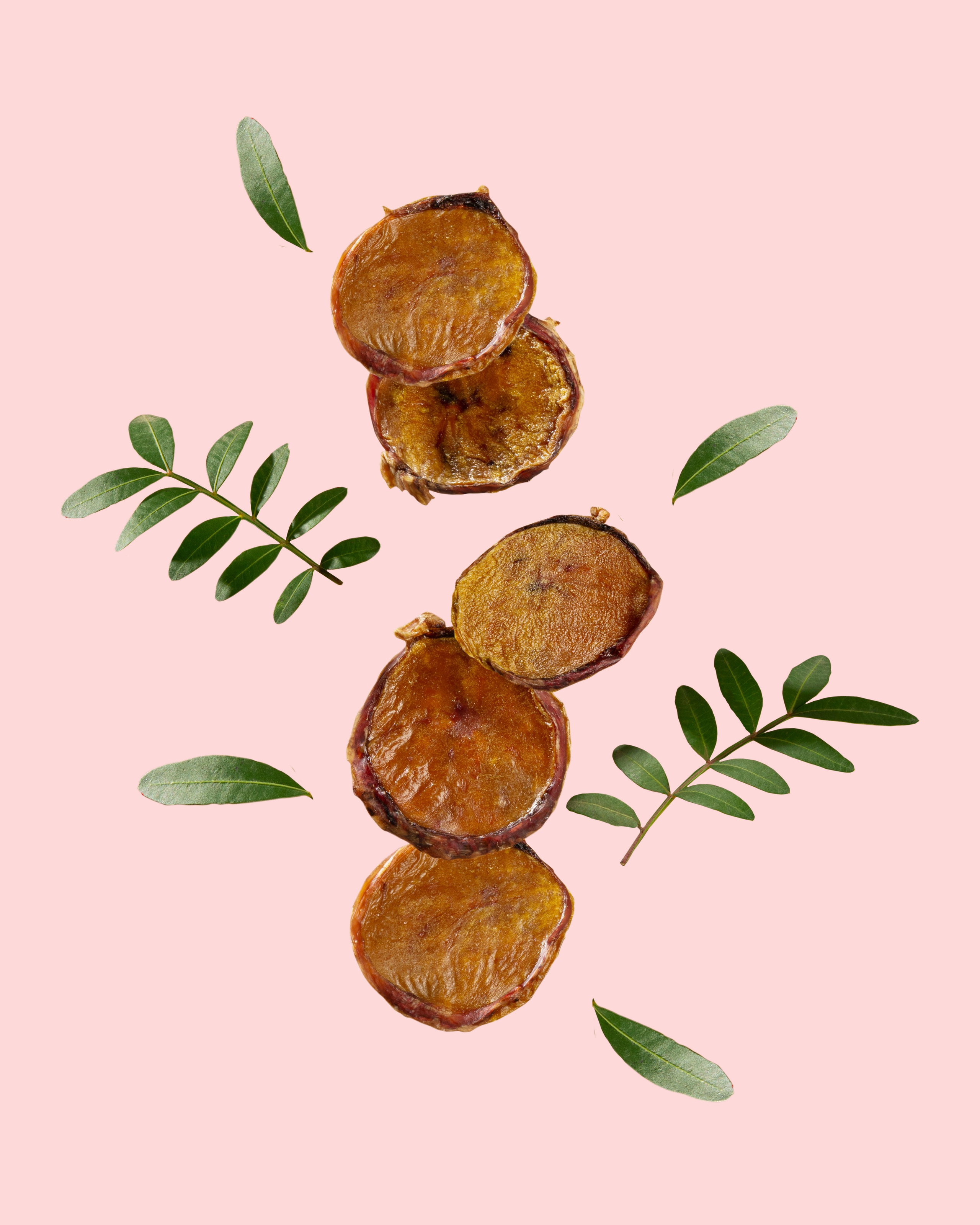 Товары для животных. Оксана Ильенко. Предметный фотограф и сет-дизайнер, Санкт-Петербург