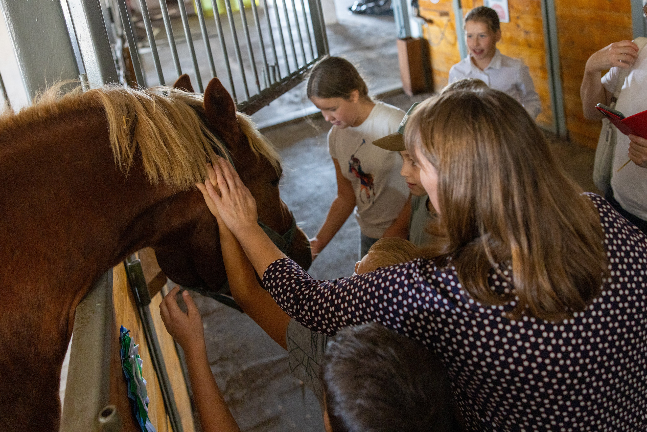 Поездка на поле Кулеково. Фотограф в Туле Крупский АнДРей. Фотостудия «КАДР71» в Туле