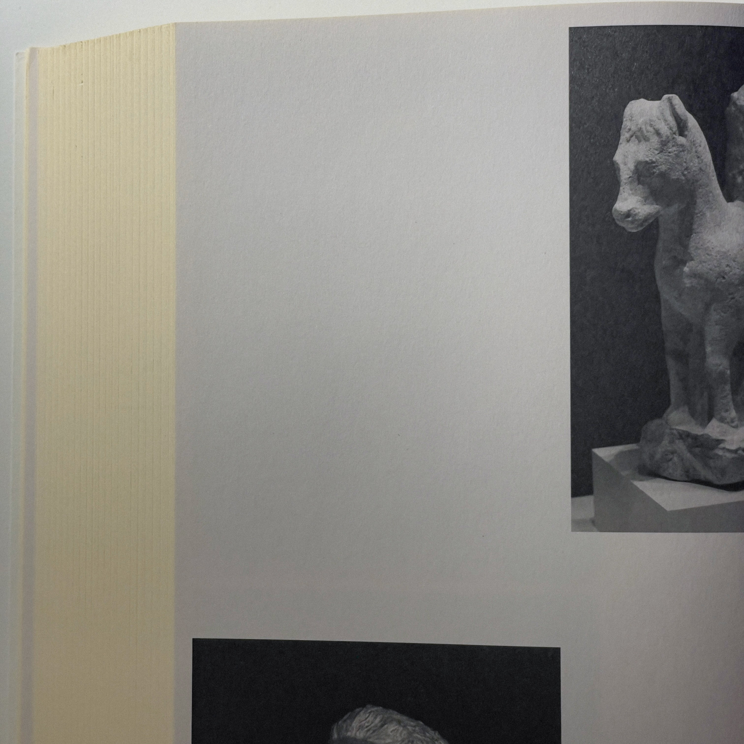 Фотокнижная библиотека Глеба Сергеева. Фотограф и исследователь фотографии из Санкт-Петербурга Елизавета Веприцкая