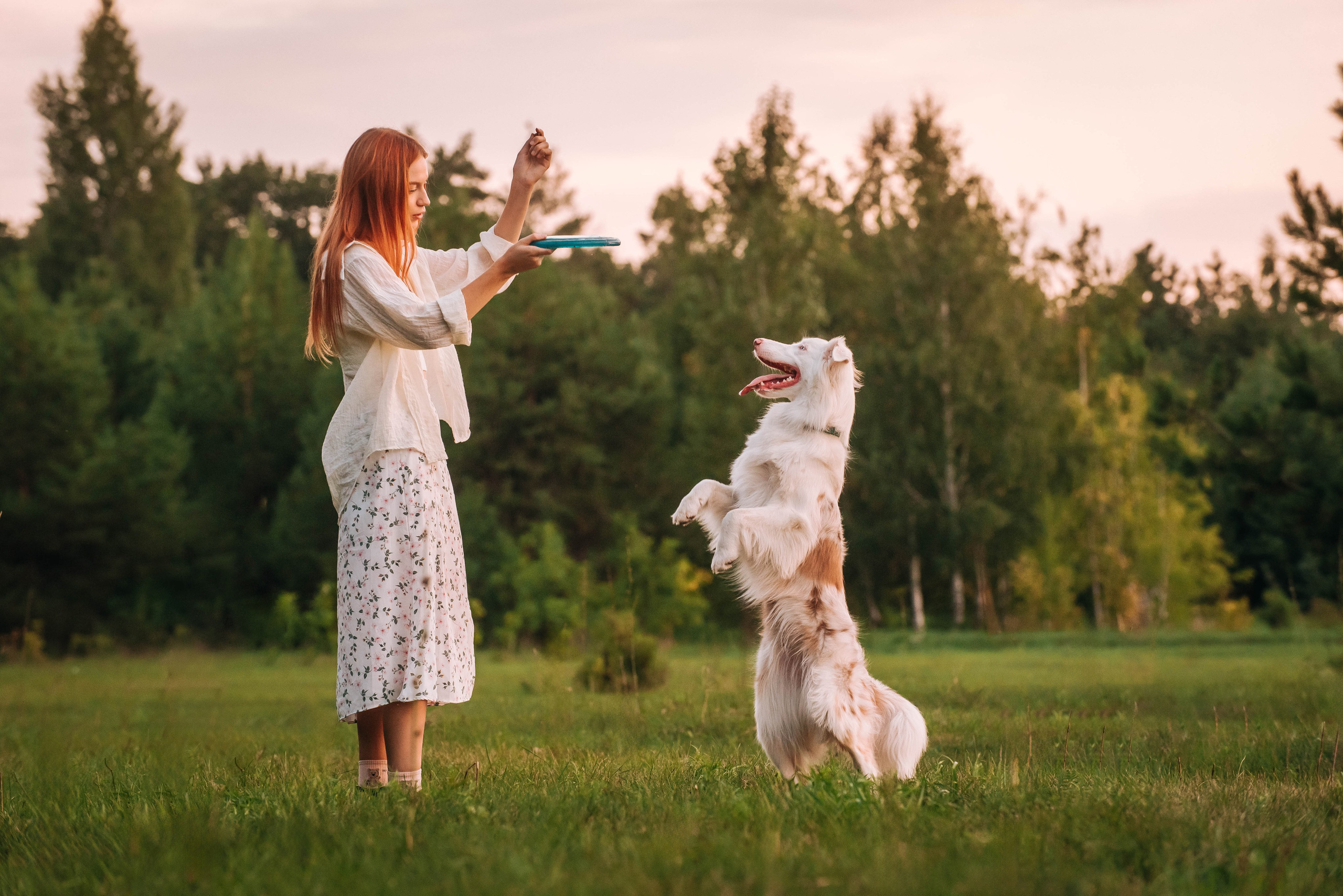Лиза и Айви. Главная