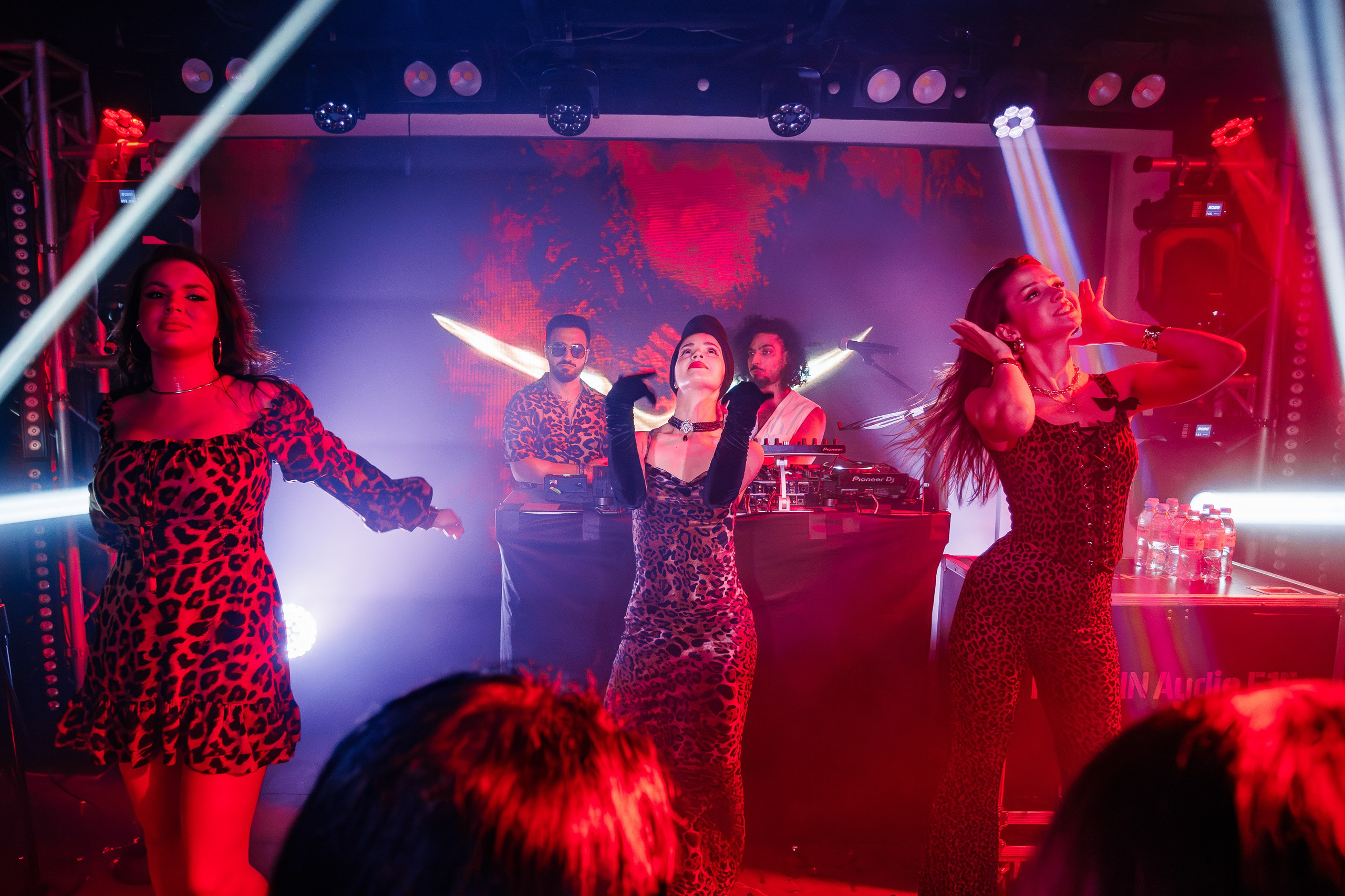 «Джиган"_Чайка на пляже_Ялта_12.07.2025 г. Аминов Руслан | Фотограф