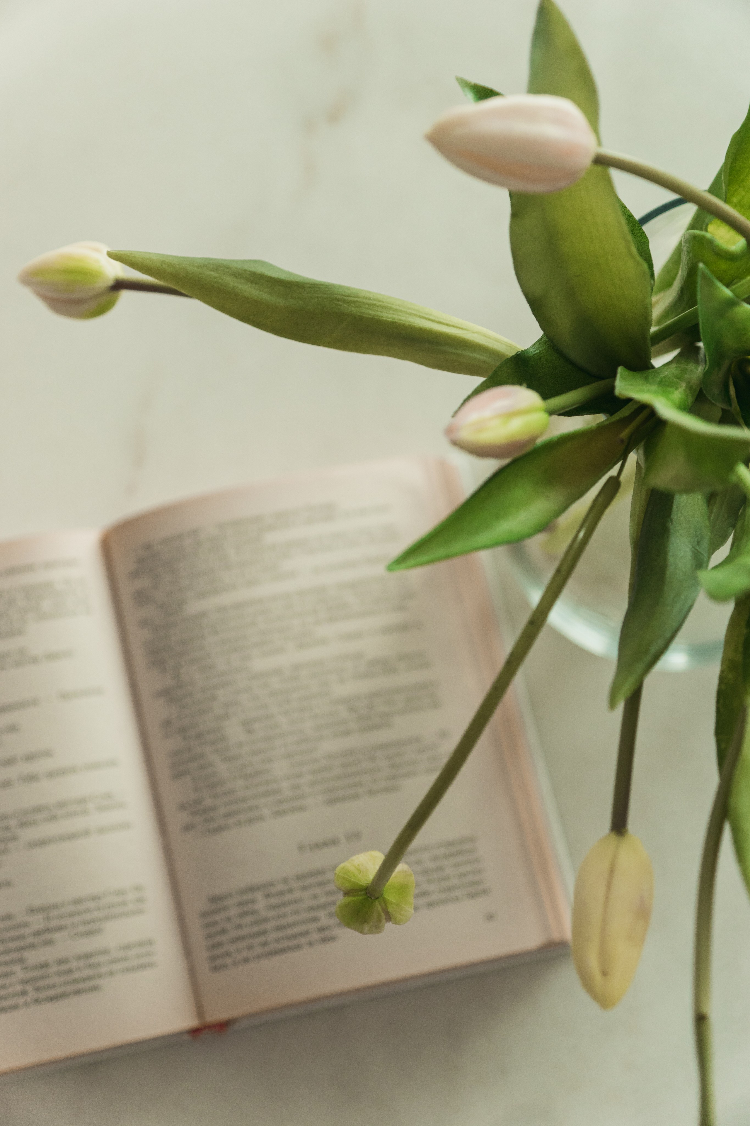 Невероятная история про то как можно найти клиента или контент съемка для психолога. Портретный и семейный фотограф в Санкт-Петербурге Чугунова Анастасия