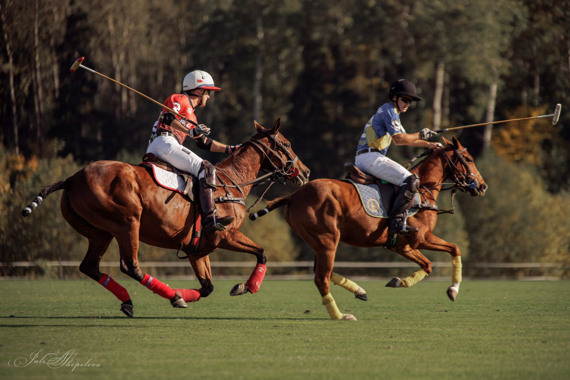 Осенний кубок по конному поло. Детская Конная фотография в Москве Юлия Шепелева