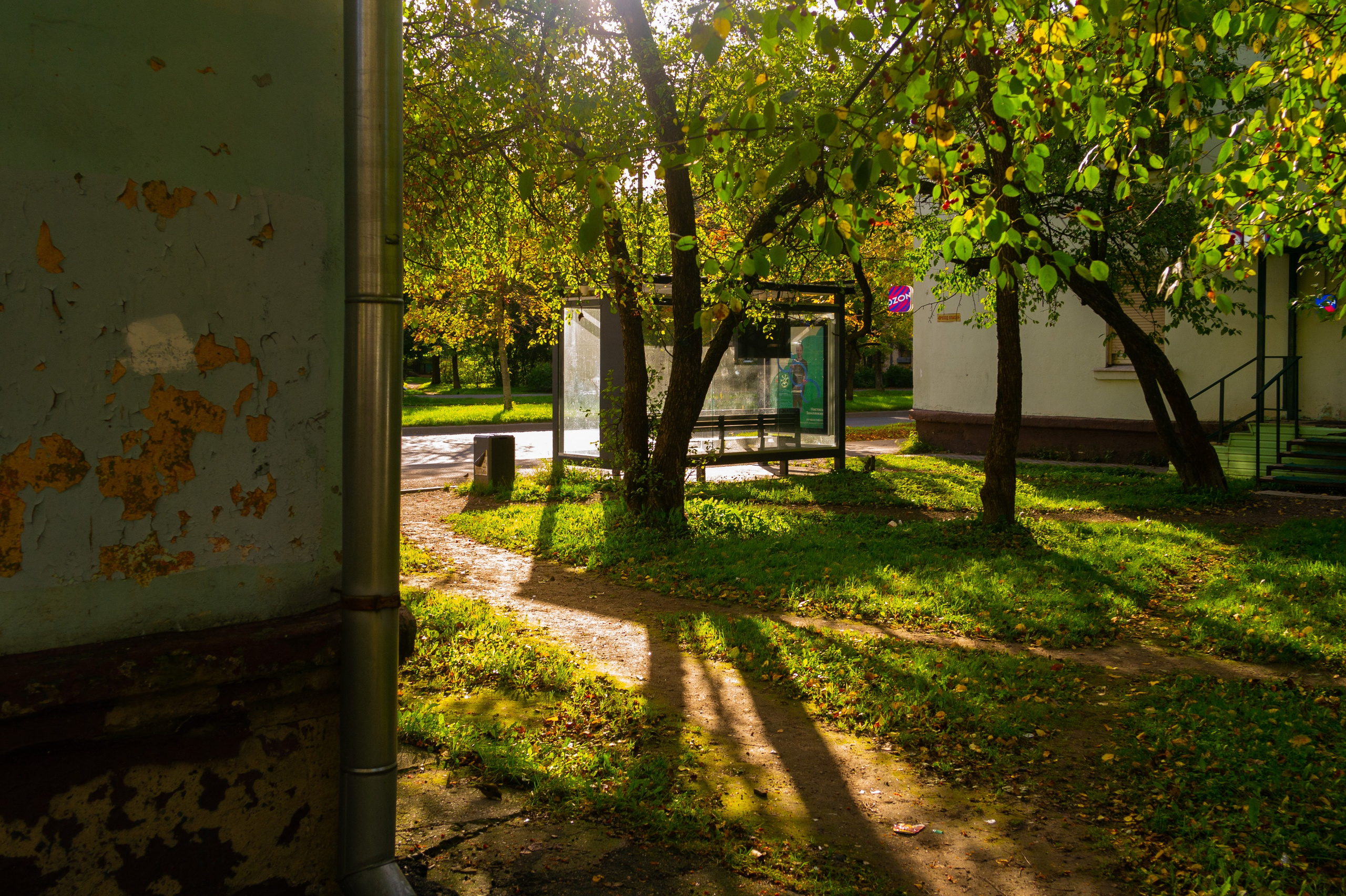 Сентябрь 2025. Den Mirov — Фотограф, Музыкант