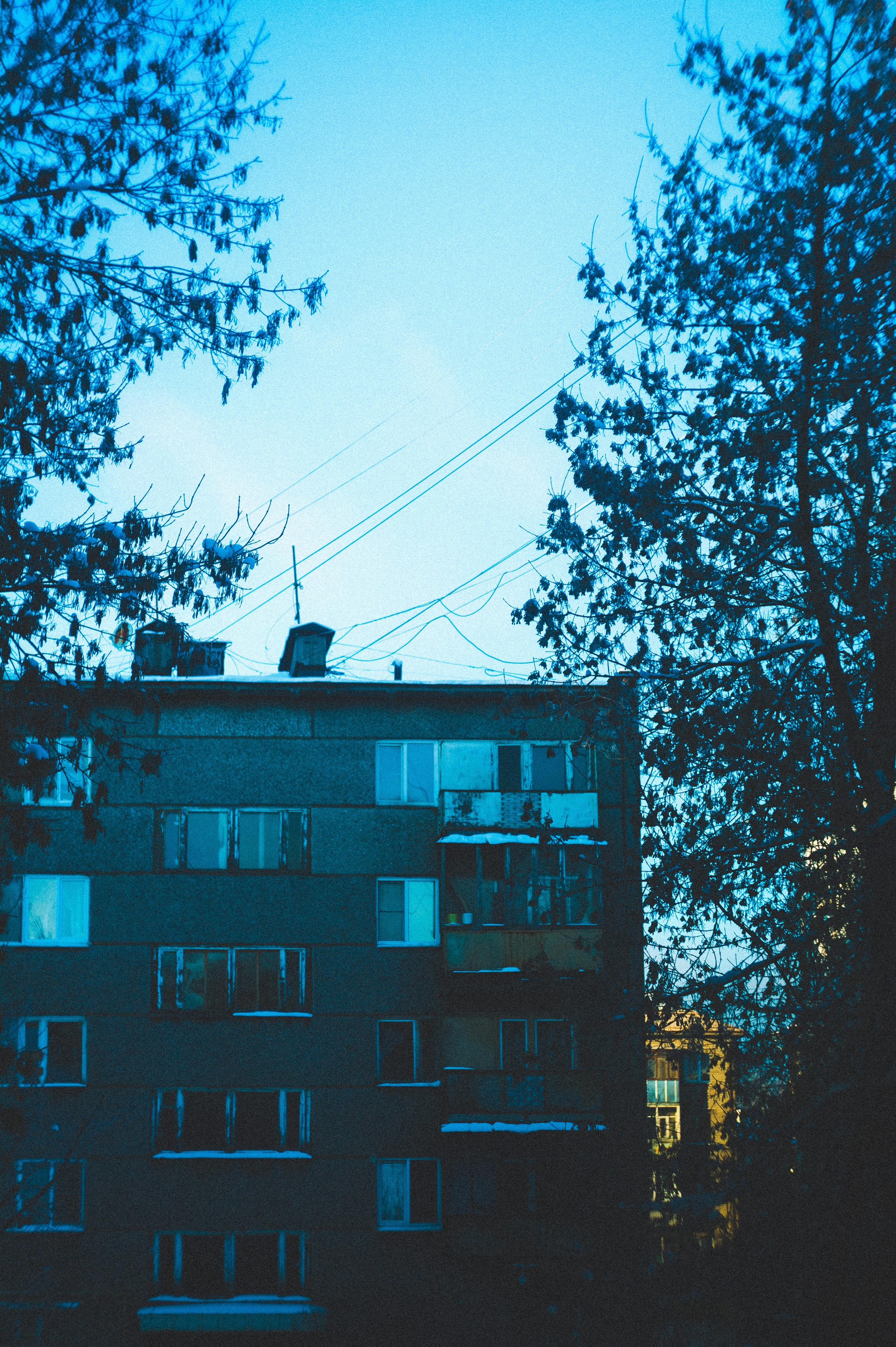 Замкнутые люди. Den Mirov — Фотограф, Музыкант