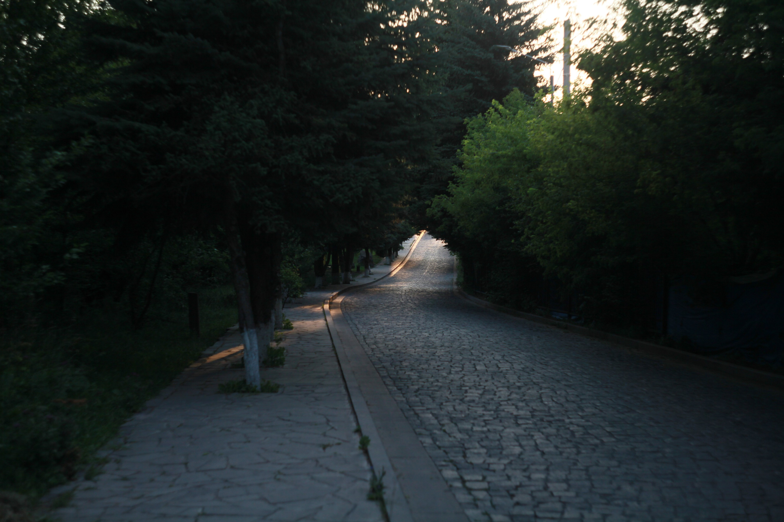 Manifest. Den Mirov — Photographer, Musician