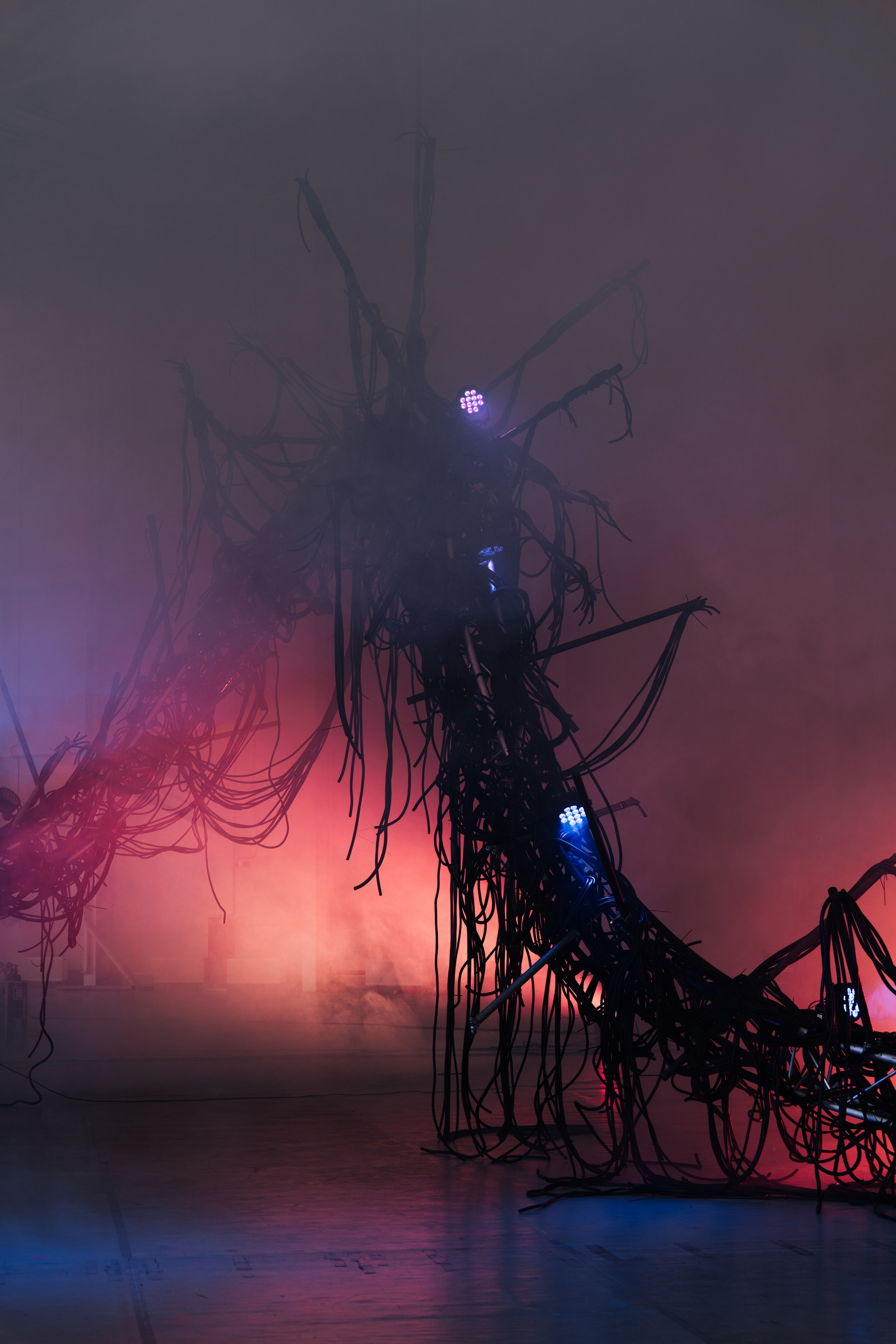 PANTERRA, CHRONOMORPH 001. @tomrus: Рустам Шагиморданов — фотограф