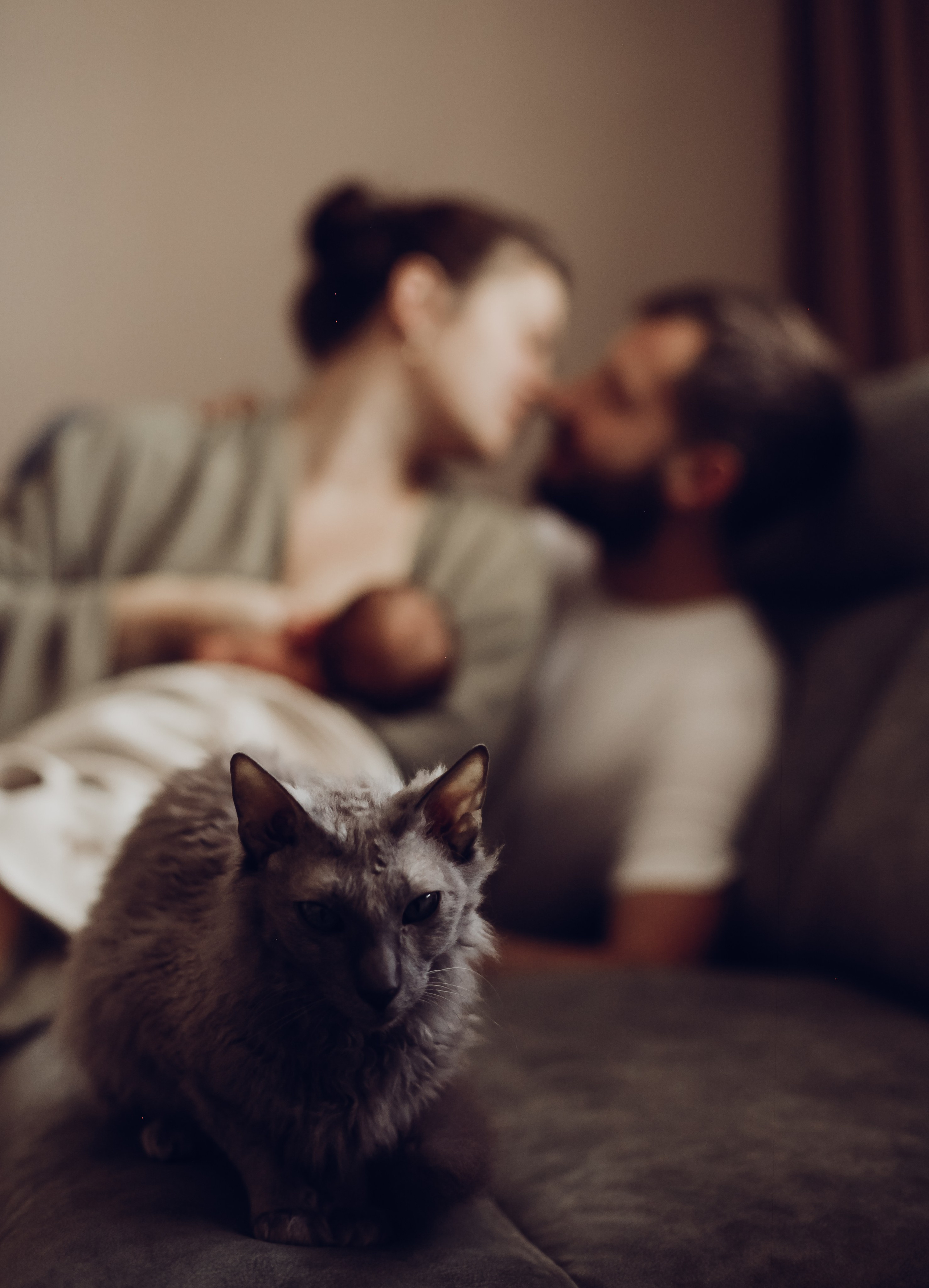 Портфолио. Семейный фотограф Лера Вессна в Санкт-Петербурге