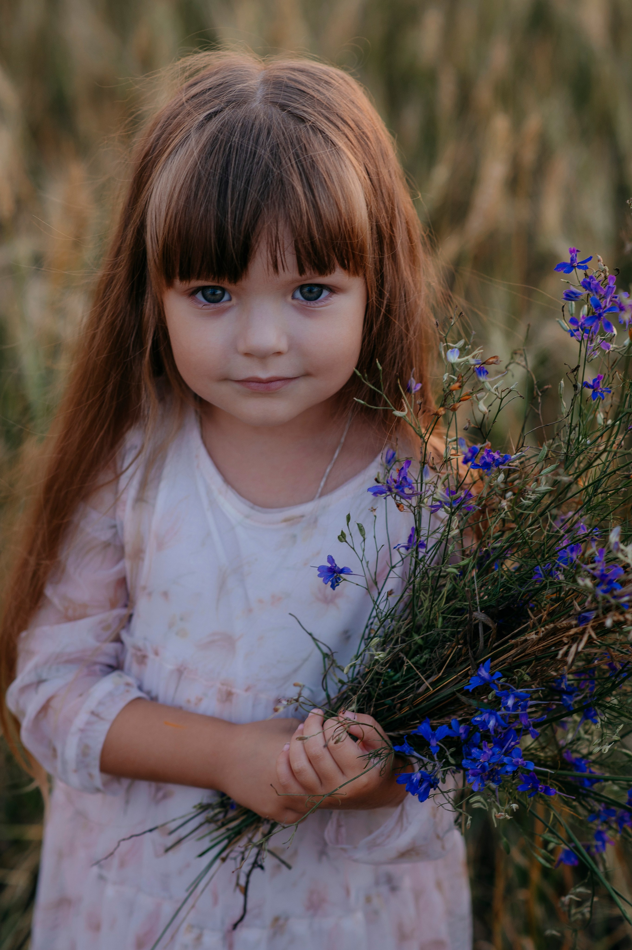 Пшеничный закат. Фотограф Дарья Семина