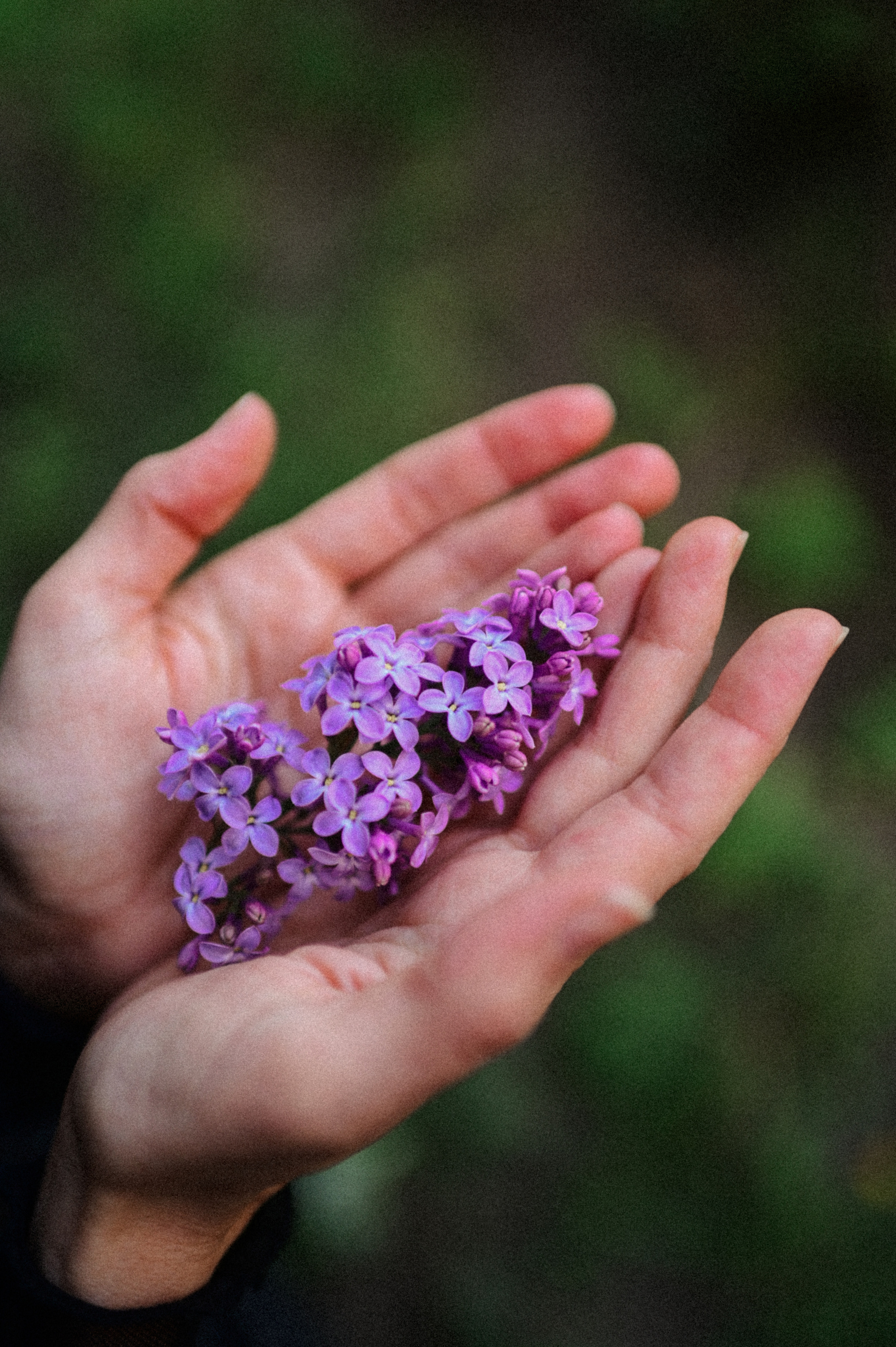 Портретная фотосессия с цветущими деревьями. Семейный свадебный фотограф Екатеринбург Первоуральск Шарнина Алёна