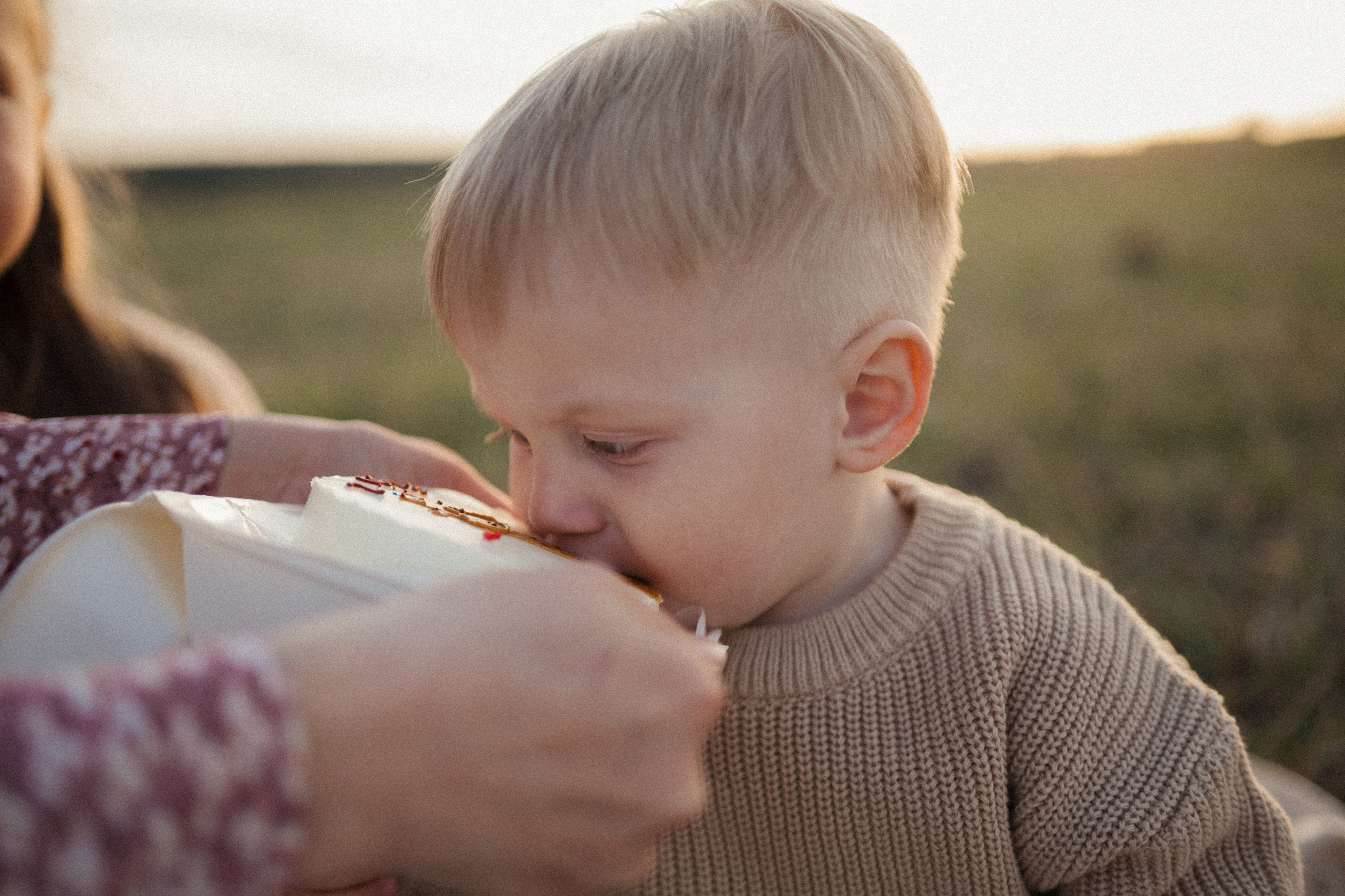 Семейная фотосессия на поле. Семейный свадебный фотограф Екатеринбург Первоуральск Шарнина Алёна
