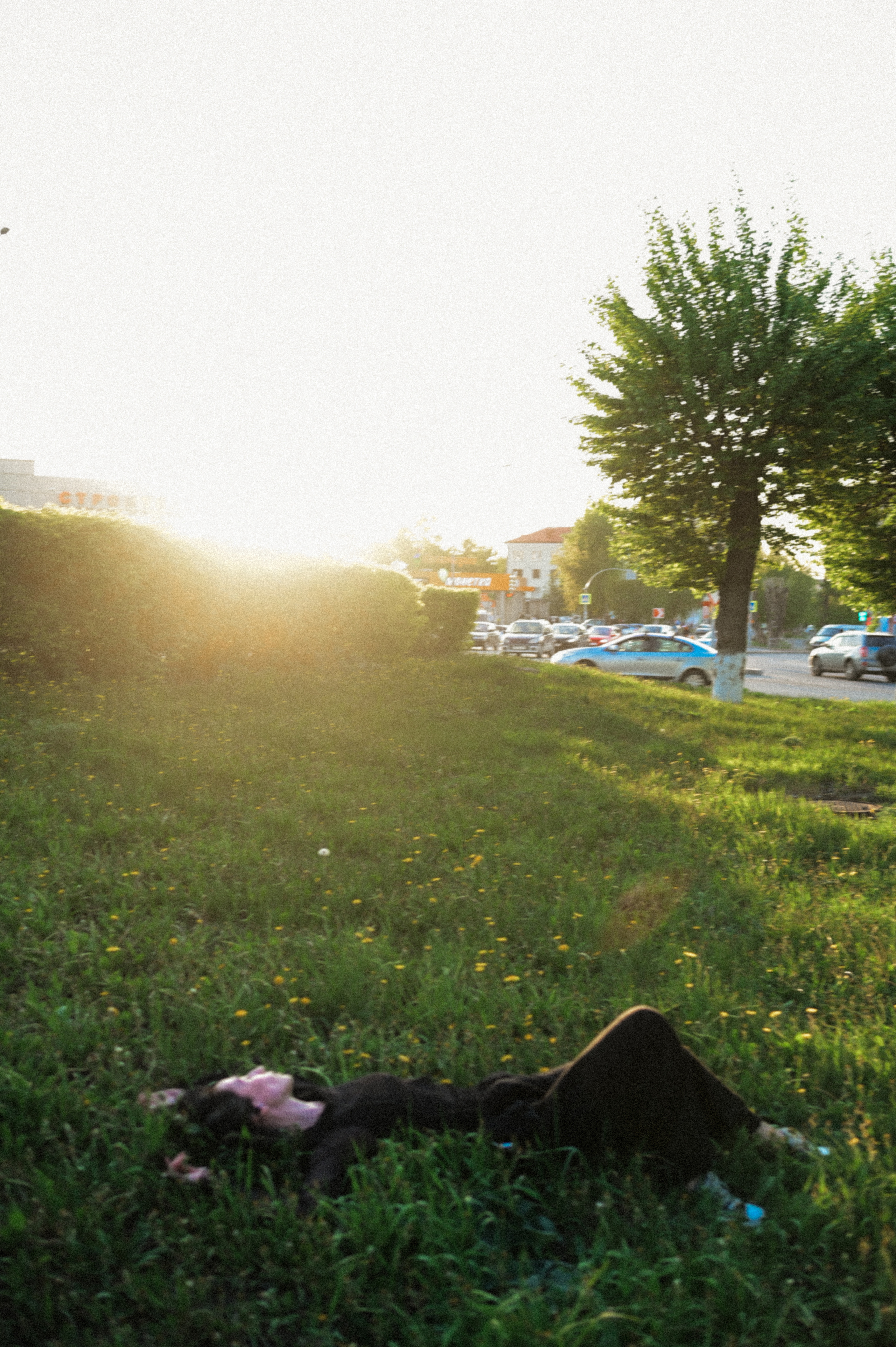 Портретная фотосессия с цветущими деревьями. Семейный свадебный фотограф Екатеринбург Первоуральск Шарнина Алёна