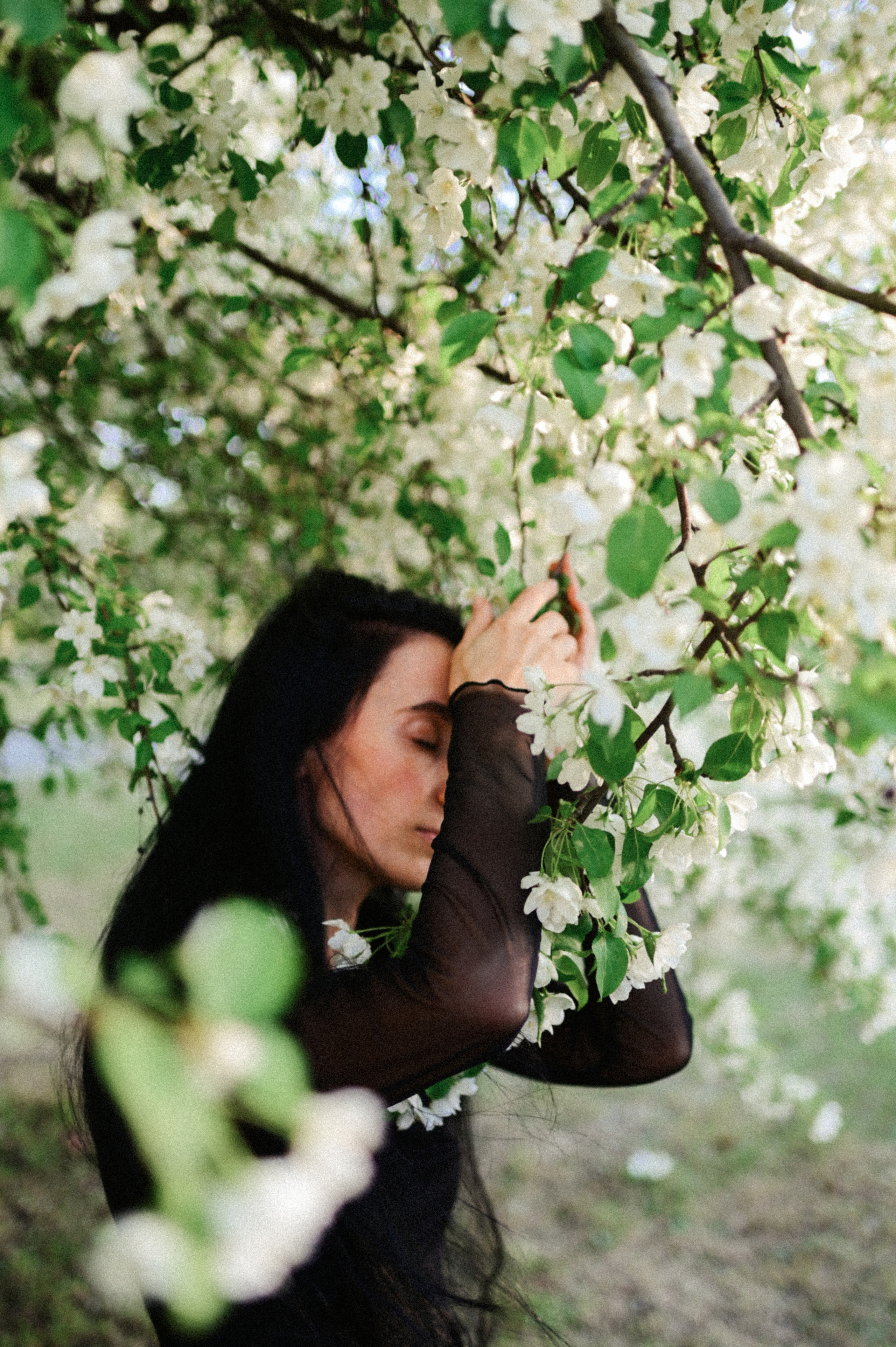 Портретная фотосессия с цветущими деревьями. Семейный свадебный фотограф Екатеринбург Первоуральск Шарнина Алёна