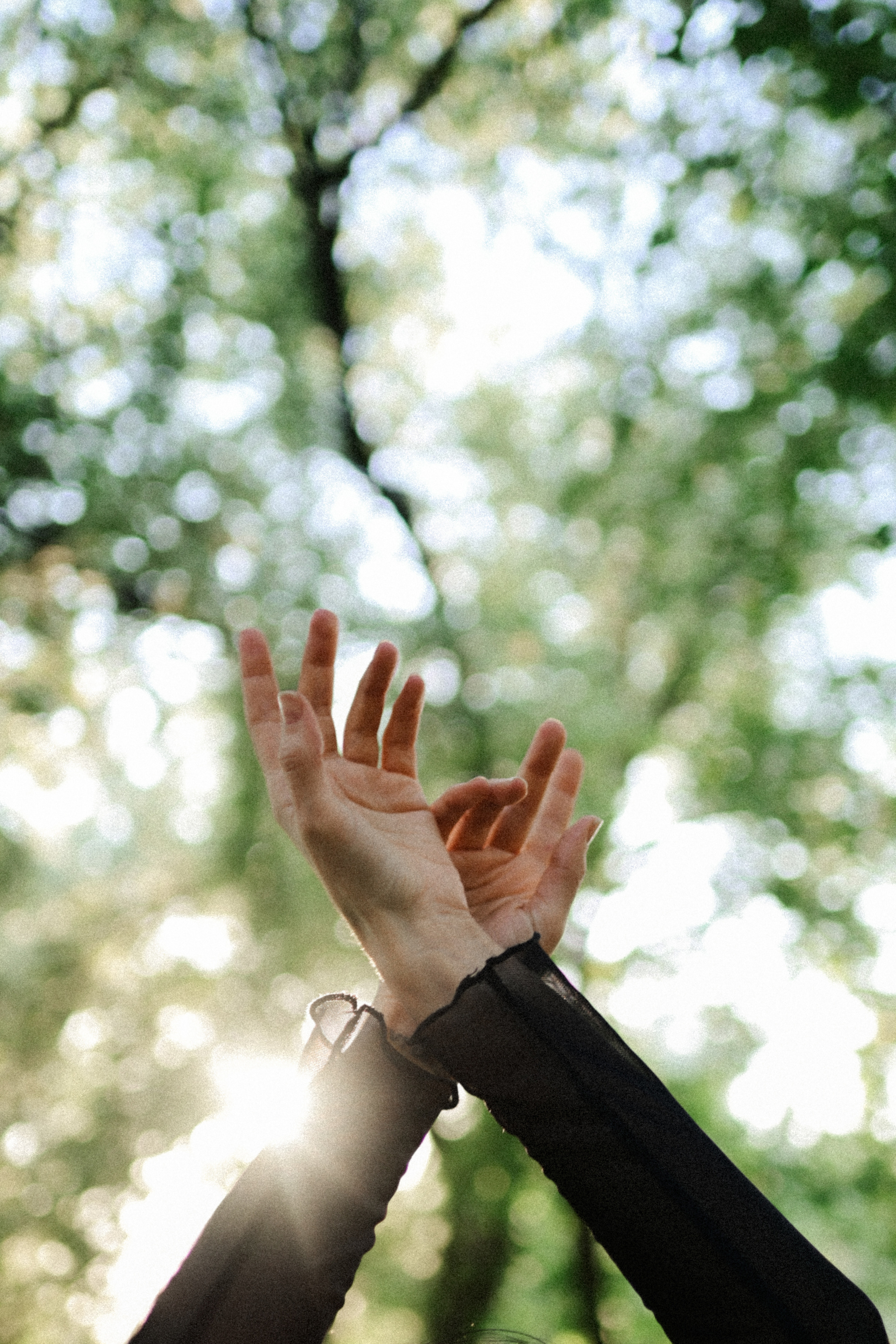 Портретная фотосессия с цветущими деревьями. Семейный свадебный фотограф Екатеринбург Первоуральск Шарнина Алёна