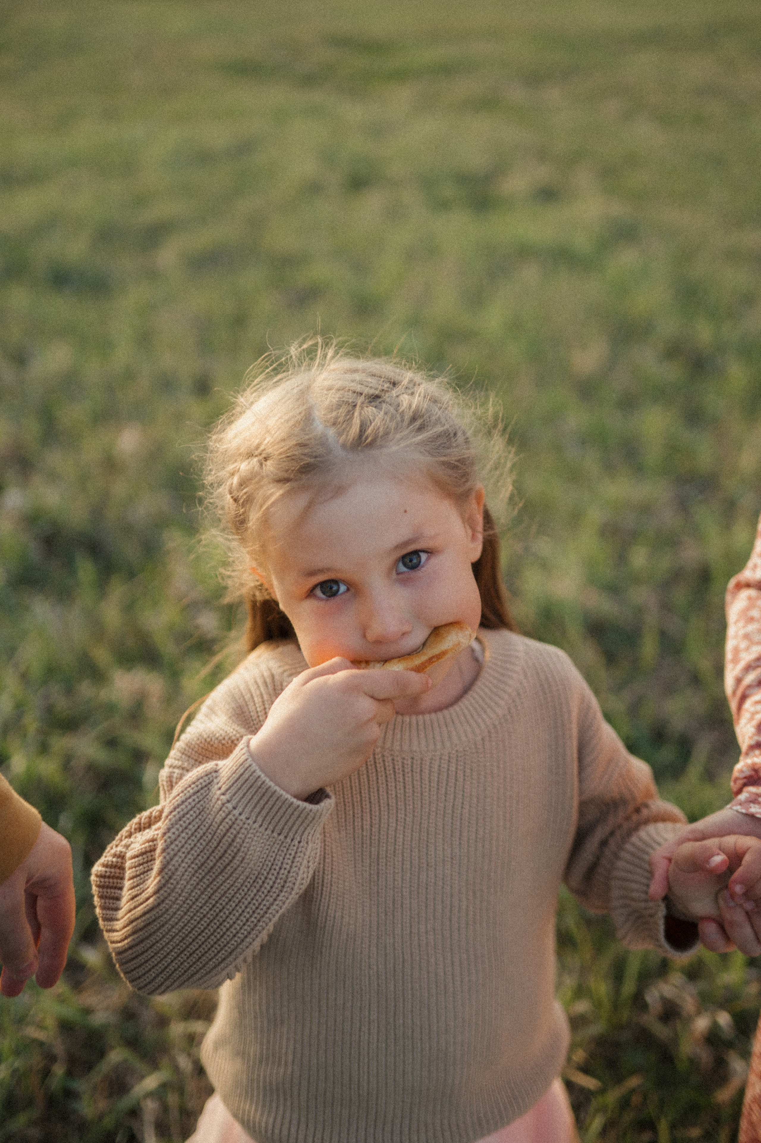 Семейная фотосессия на поле. Семейный свадебный фотограф Екатеринбург Первоуральск Шарнина Алёна