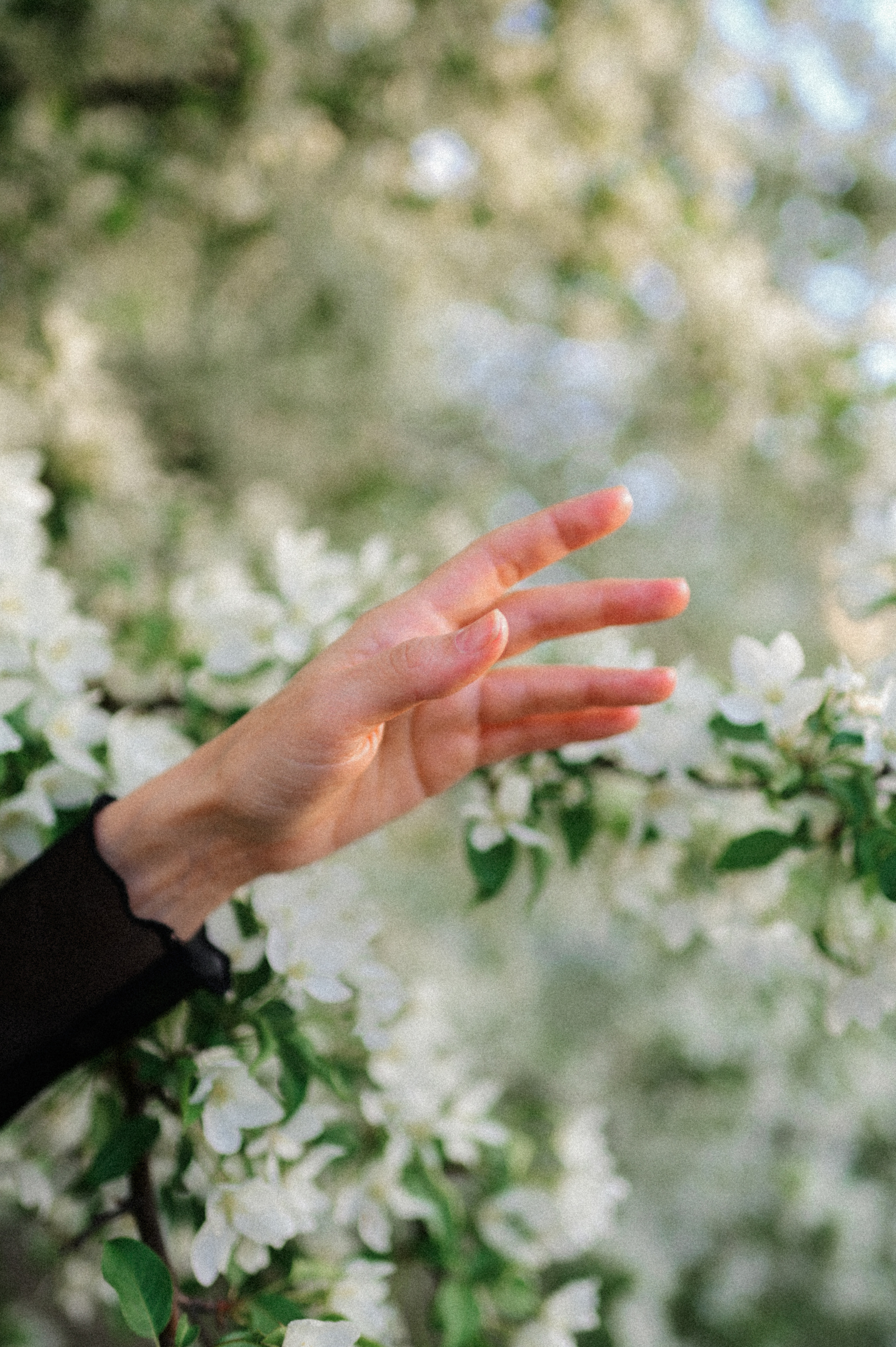 Портретная фотосессия с цветущими деревьями. Семейный свадебный фотограф Екатеринбург Первоуральск Шарнина Алёна