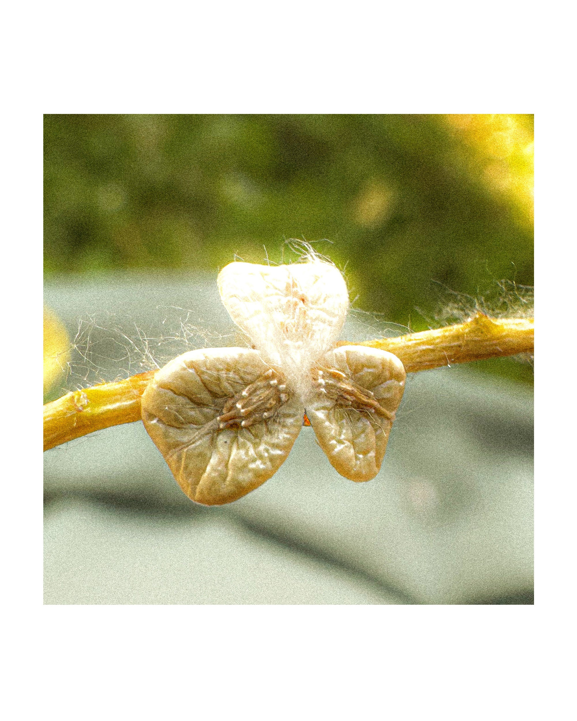 Mobile street art. Портретный фотограф в Москве