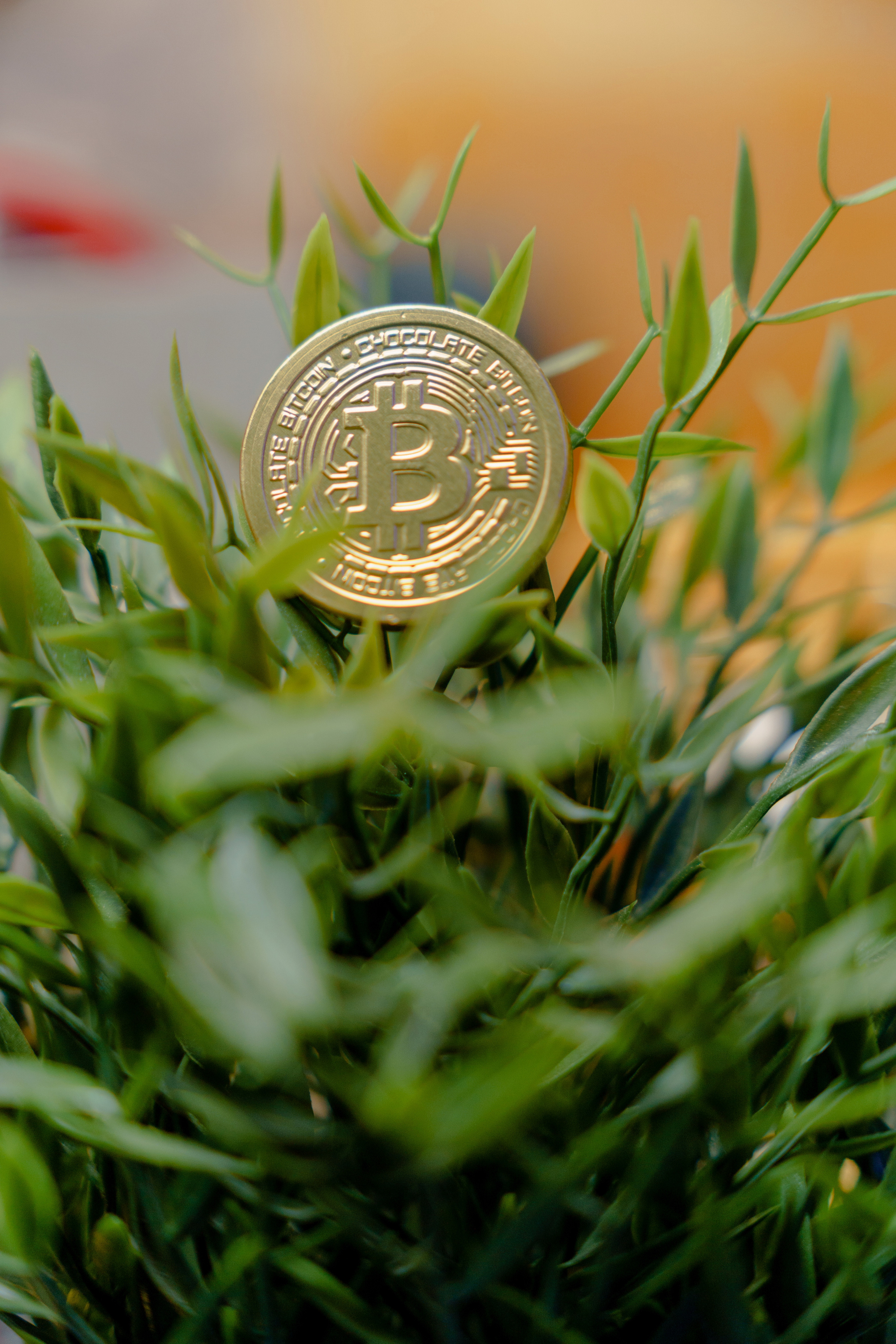 Фотограф на конференцию и бизнес мероприятие. Репортажный фотограф Москва Сергей Дружинин