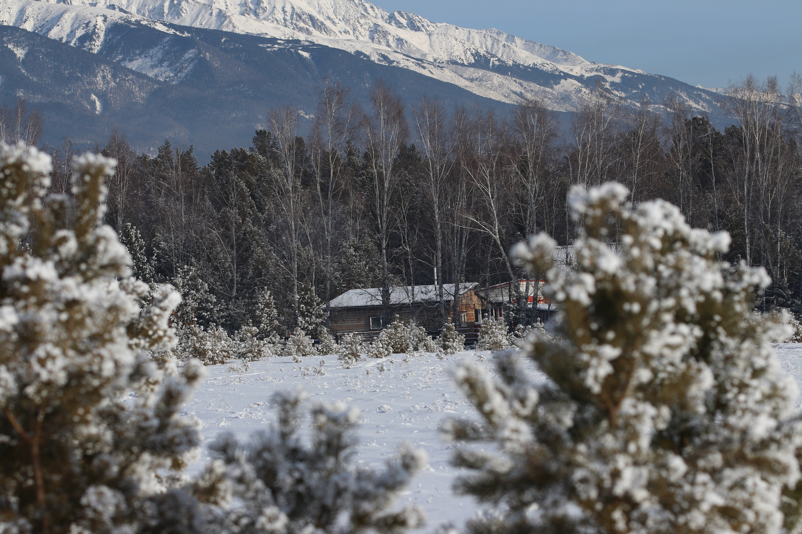 Аршан. Январь 2024. Путешественник-фотограф из Санкт-Петербурга Татьяна Свистулина