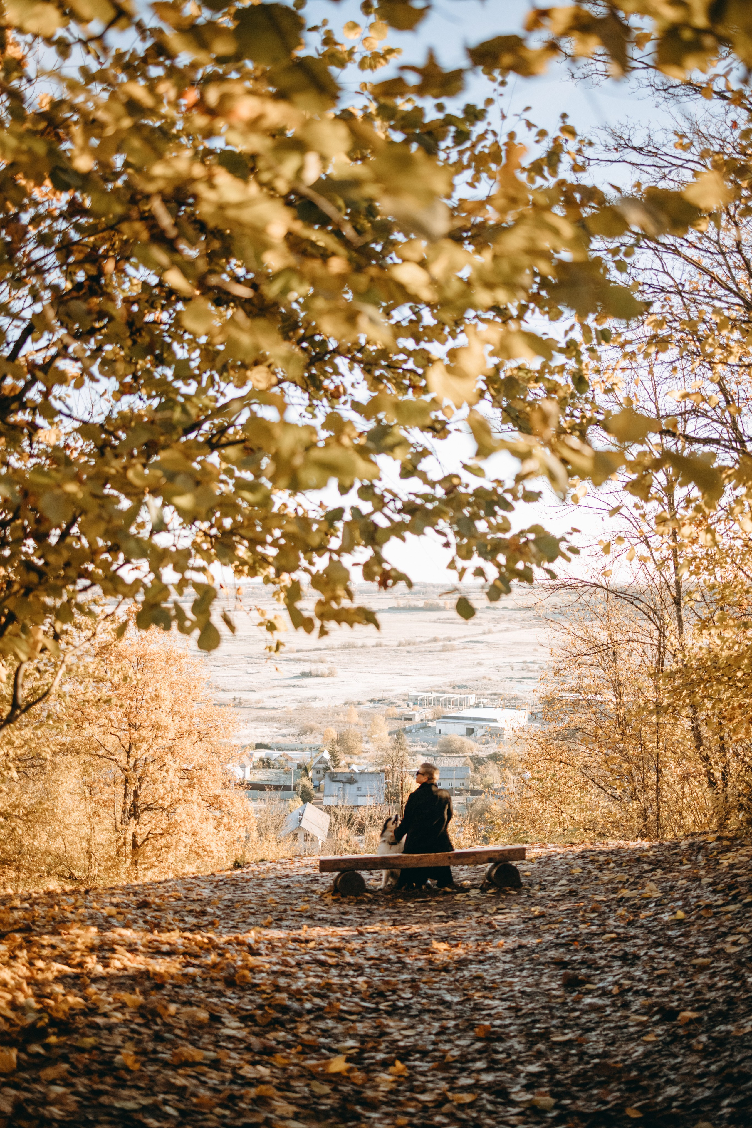 Ия и Барт. Фотограф — Анималист | Санкт-Петербург