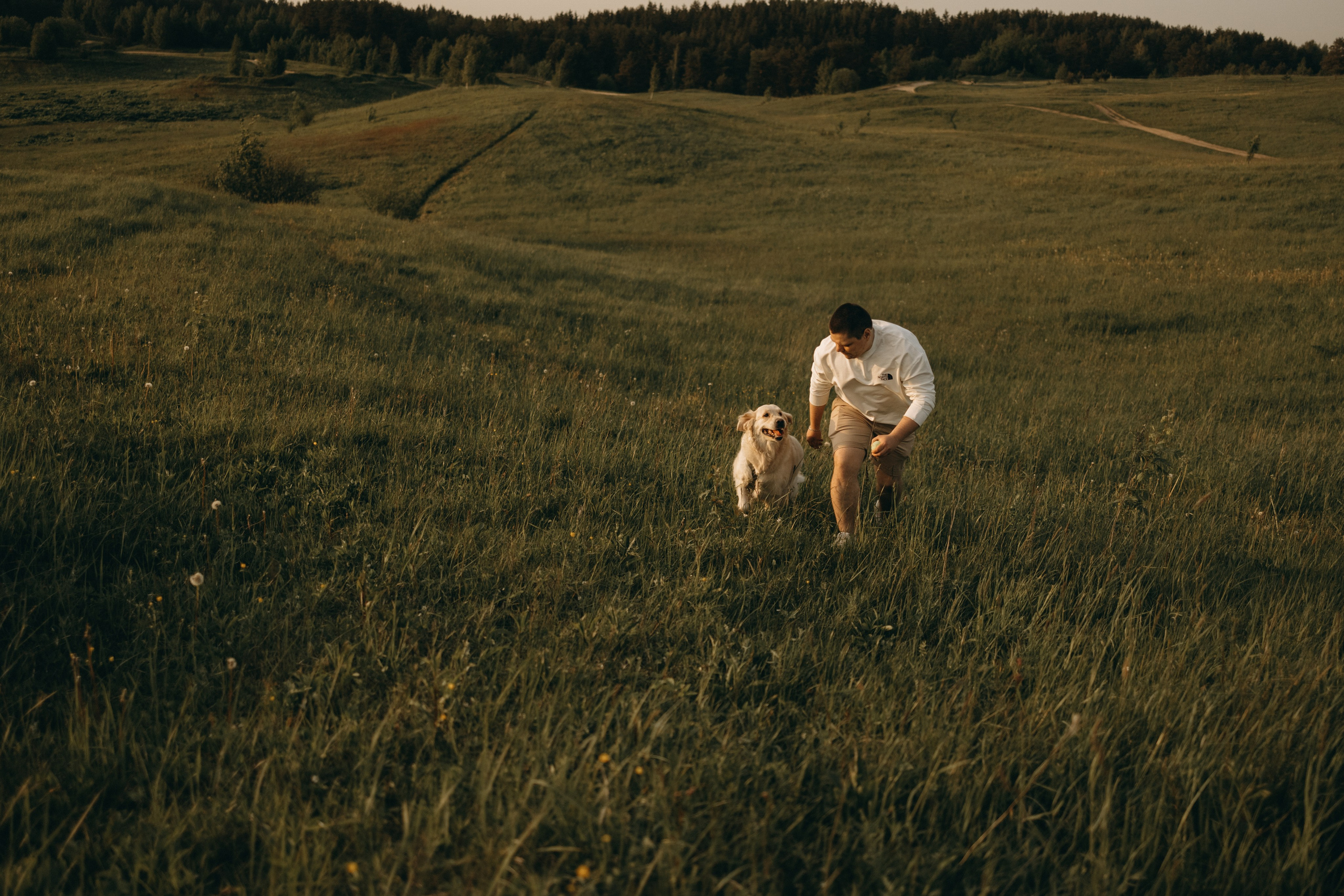 Милка и ребята. Фотограф — Анималист | Санкт-Петербург