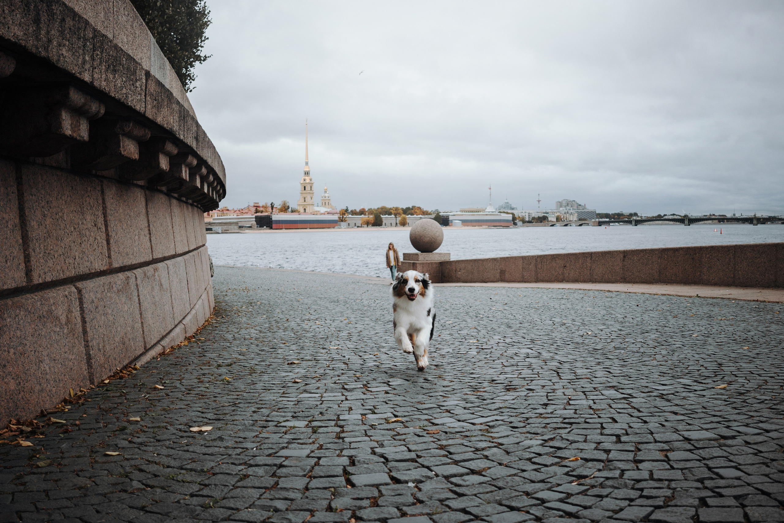 Ирина и Кайса. Фотограф — Анималист | Санкт-Петербург