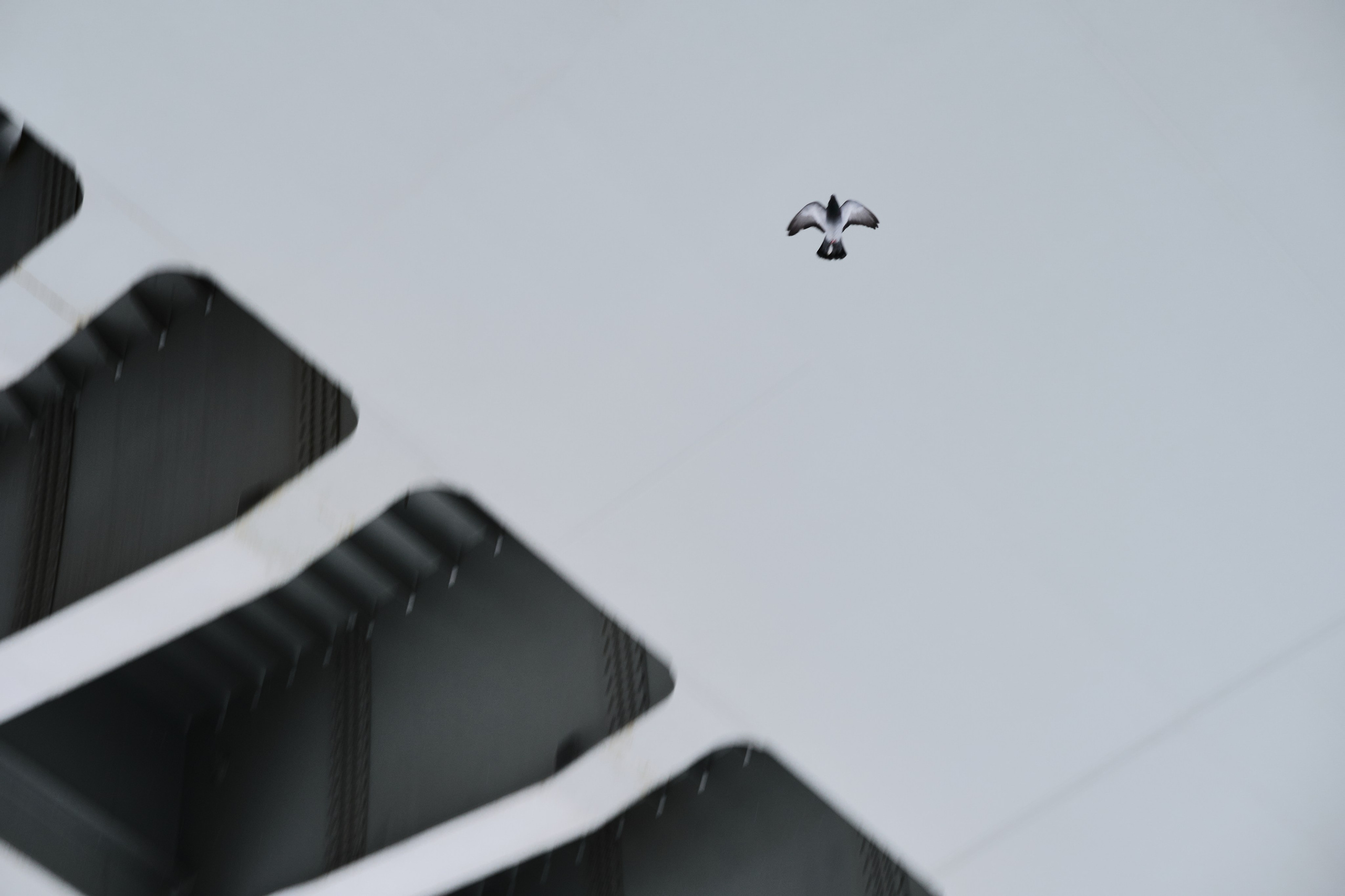 Стрит-фотография в Санкт-Петербурге — фотосессия | Филипп Линзин. Репортажный и портретный фотограф в Санкт-Петербурге Филипп Линзин