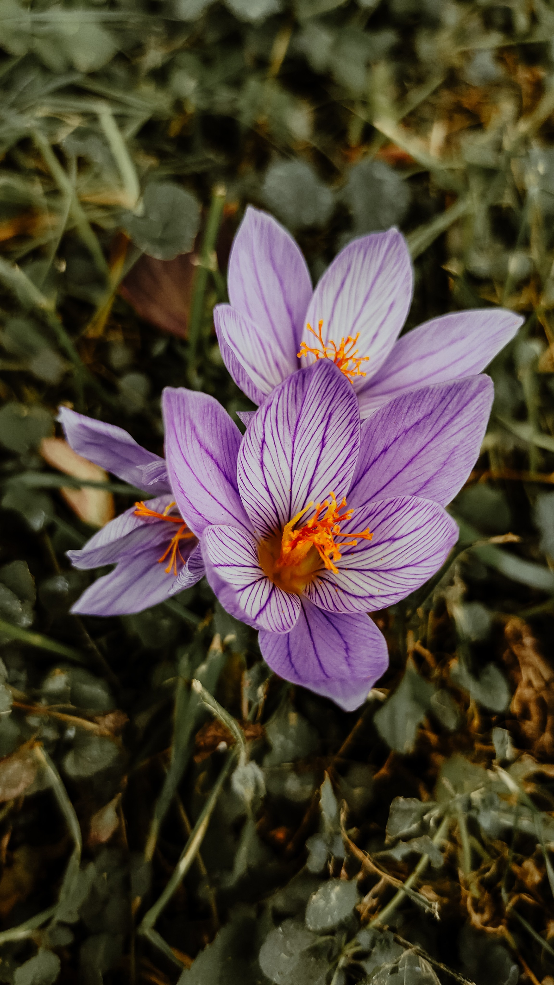 Отзывы. Мобильный фотограф|Визуал|Контент Москва Елена Молнар