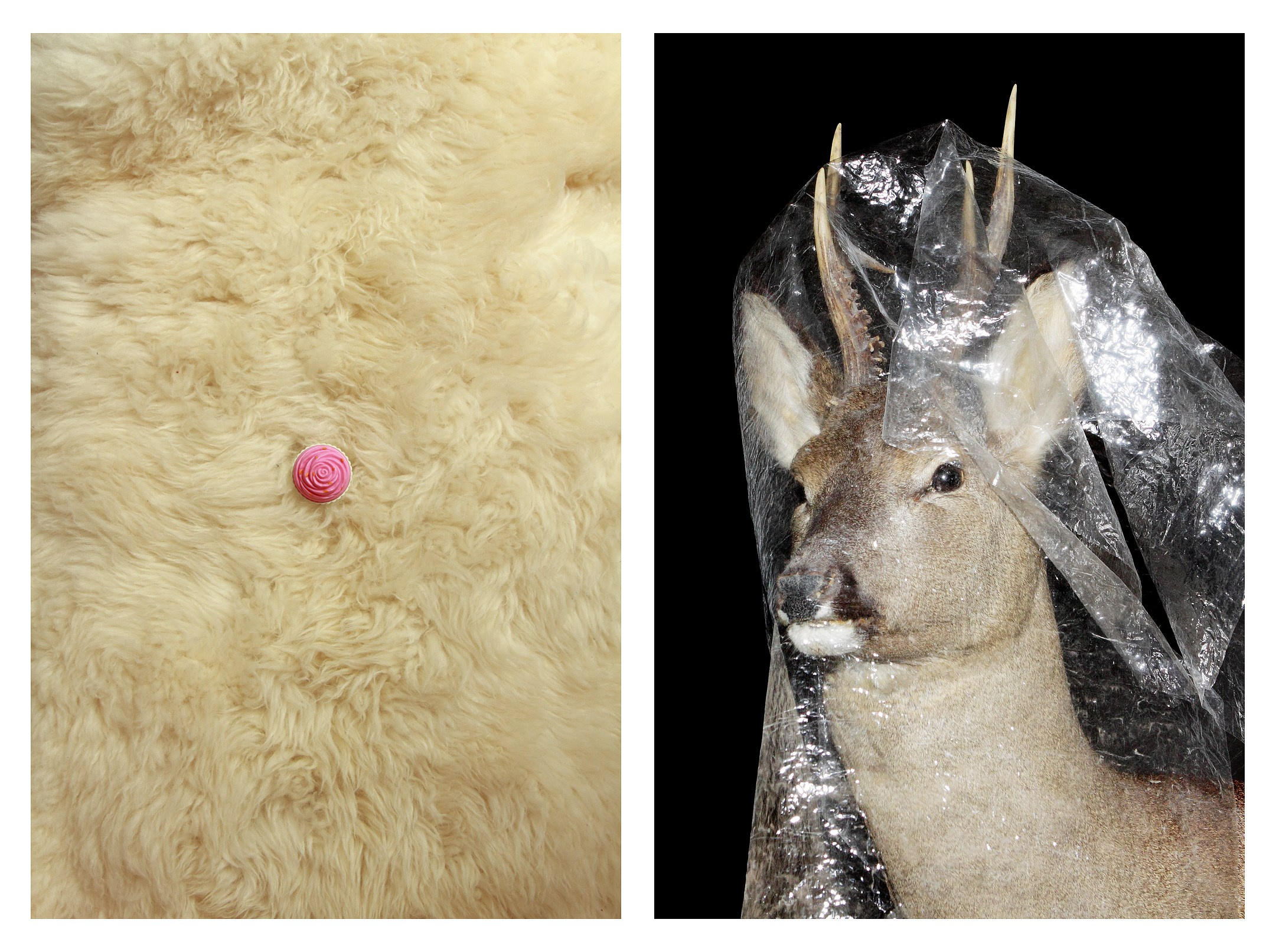 Спектакль. Фотографии Саши Любина