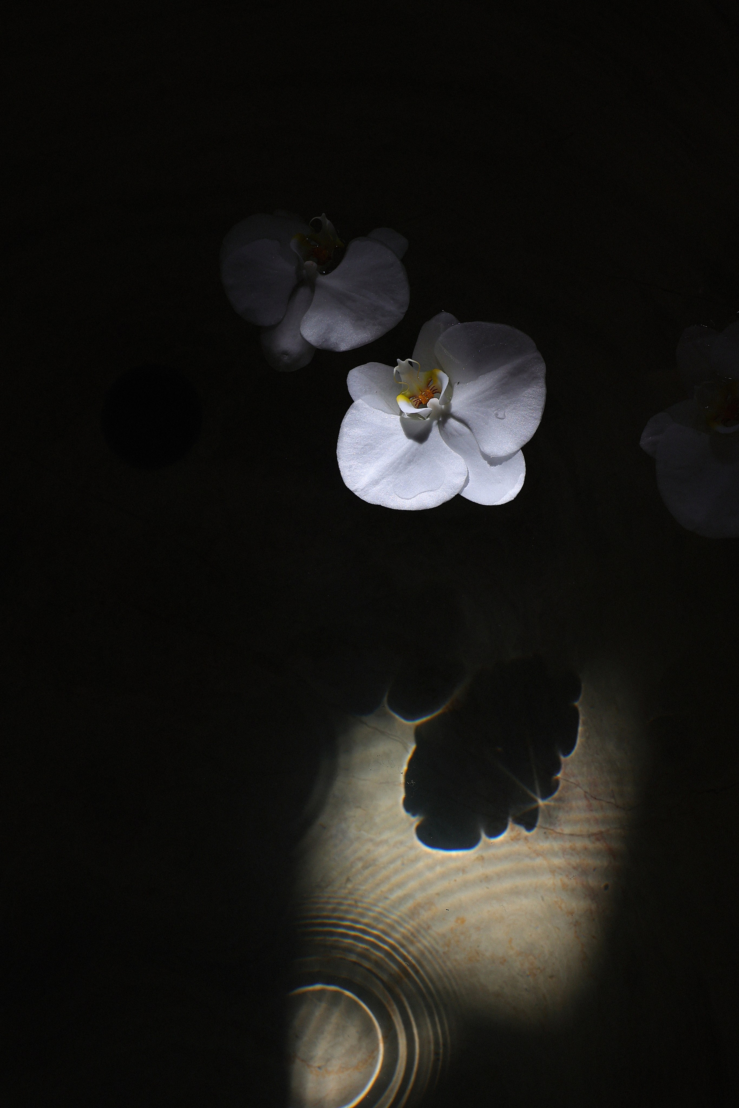 WEDDING. Свадебный фотограф Сочи Москва Дубай Снежана Магрин