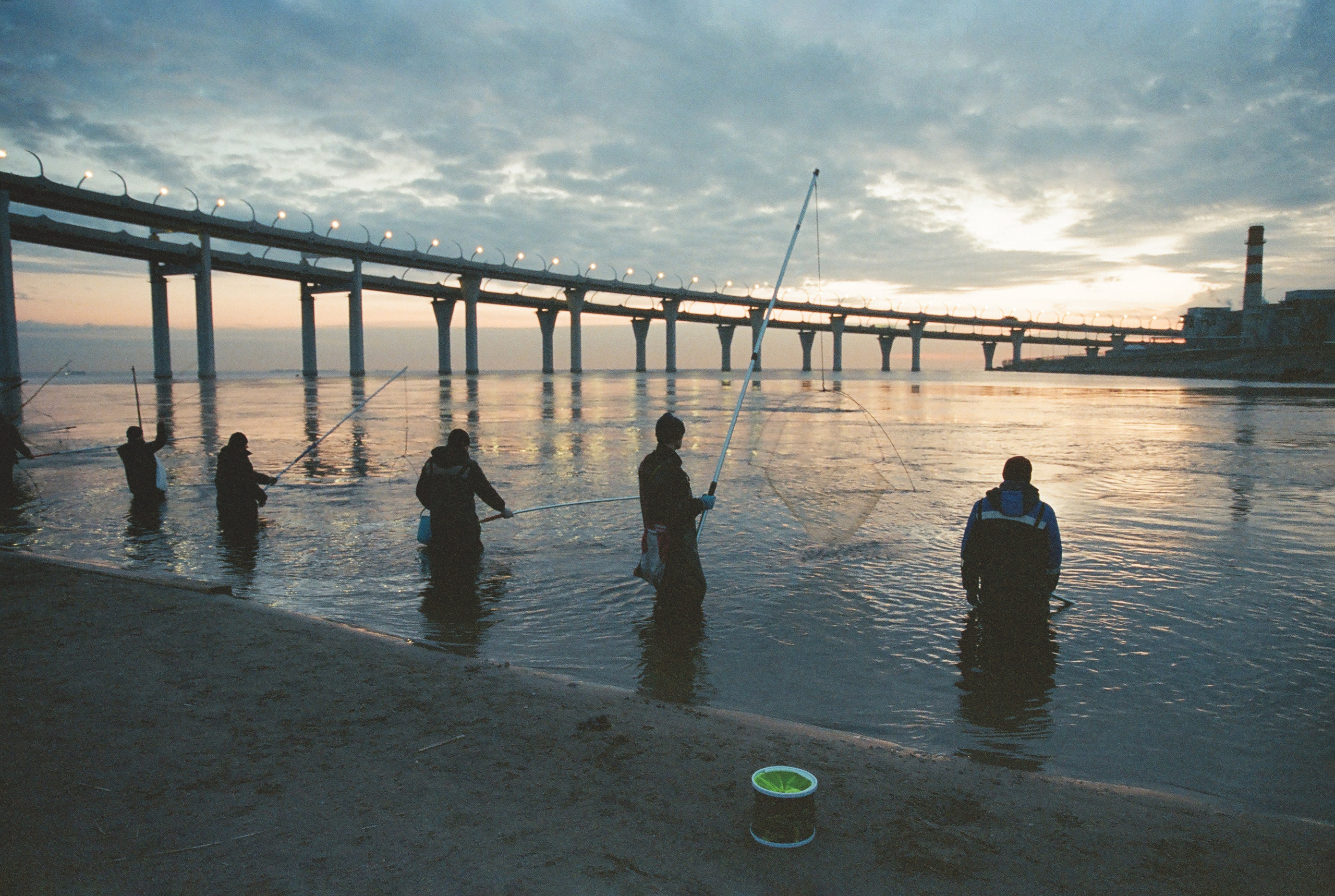 Фотографии цветные. Свадебный и семейный пленочный фотограф в Петербурге Истомина Ирина