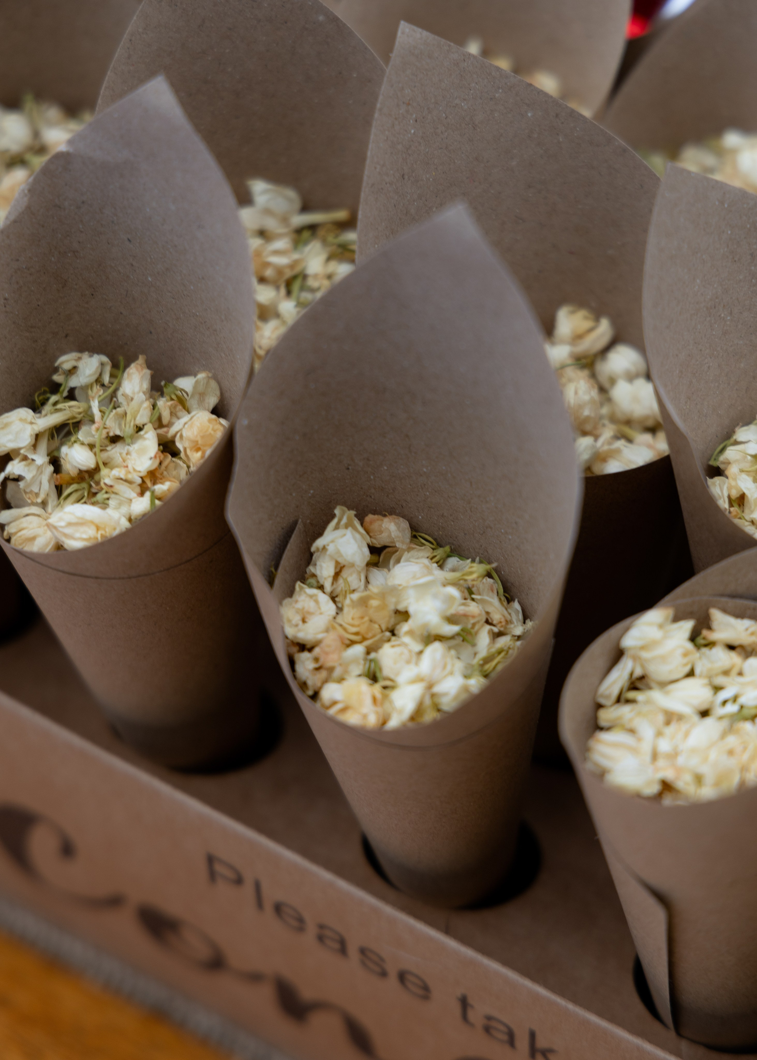 Денис & Дарья | в лесу. Фотограф в Калининграде Сокирко Светлана