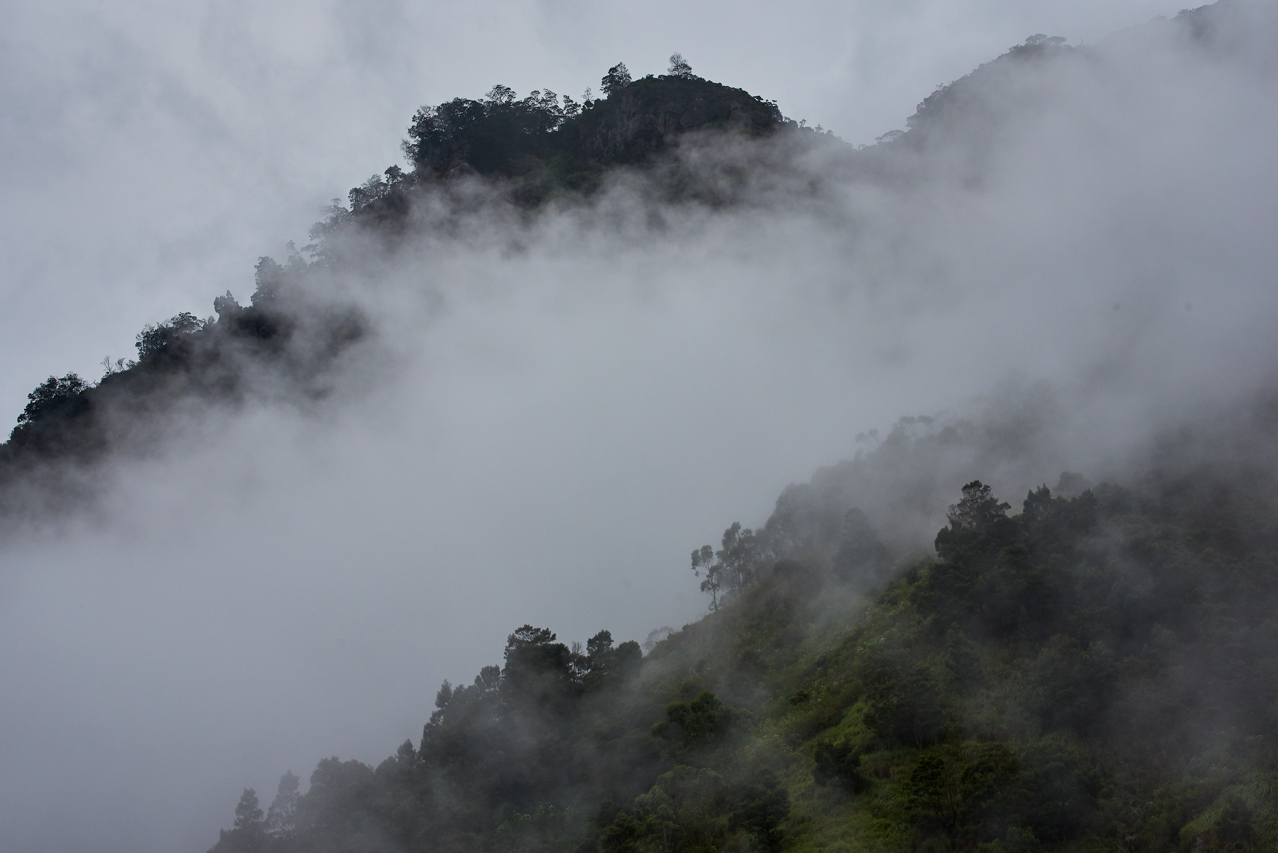 Moto Trip 23-05-19. Никита Хохловский фото и видео продакшн