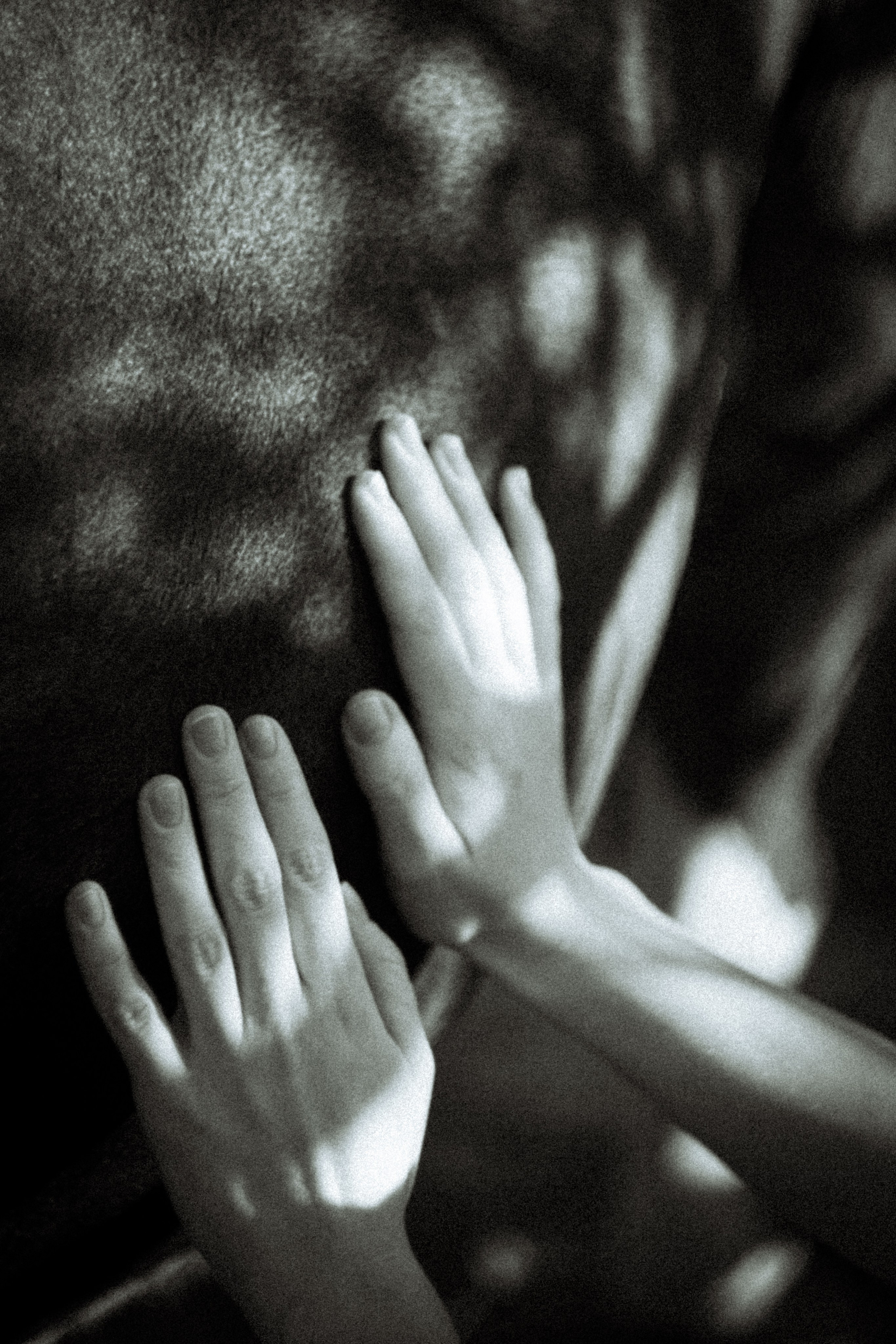 Платье в горошек. • Фотограф Александра Светозар Алчевск •