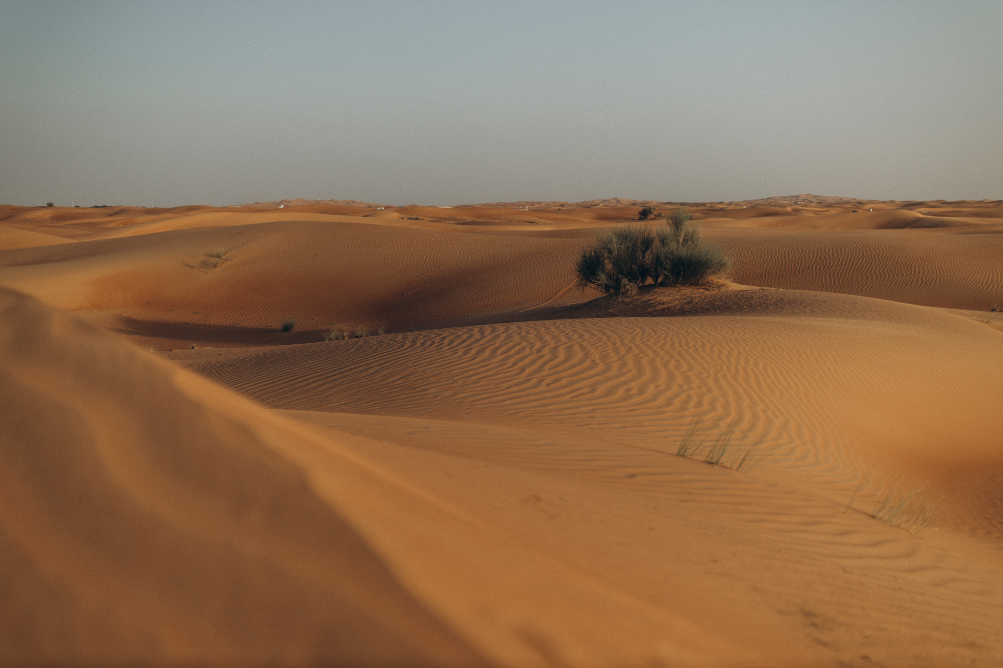 Desert. Свадебный фотограф Минск