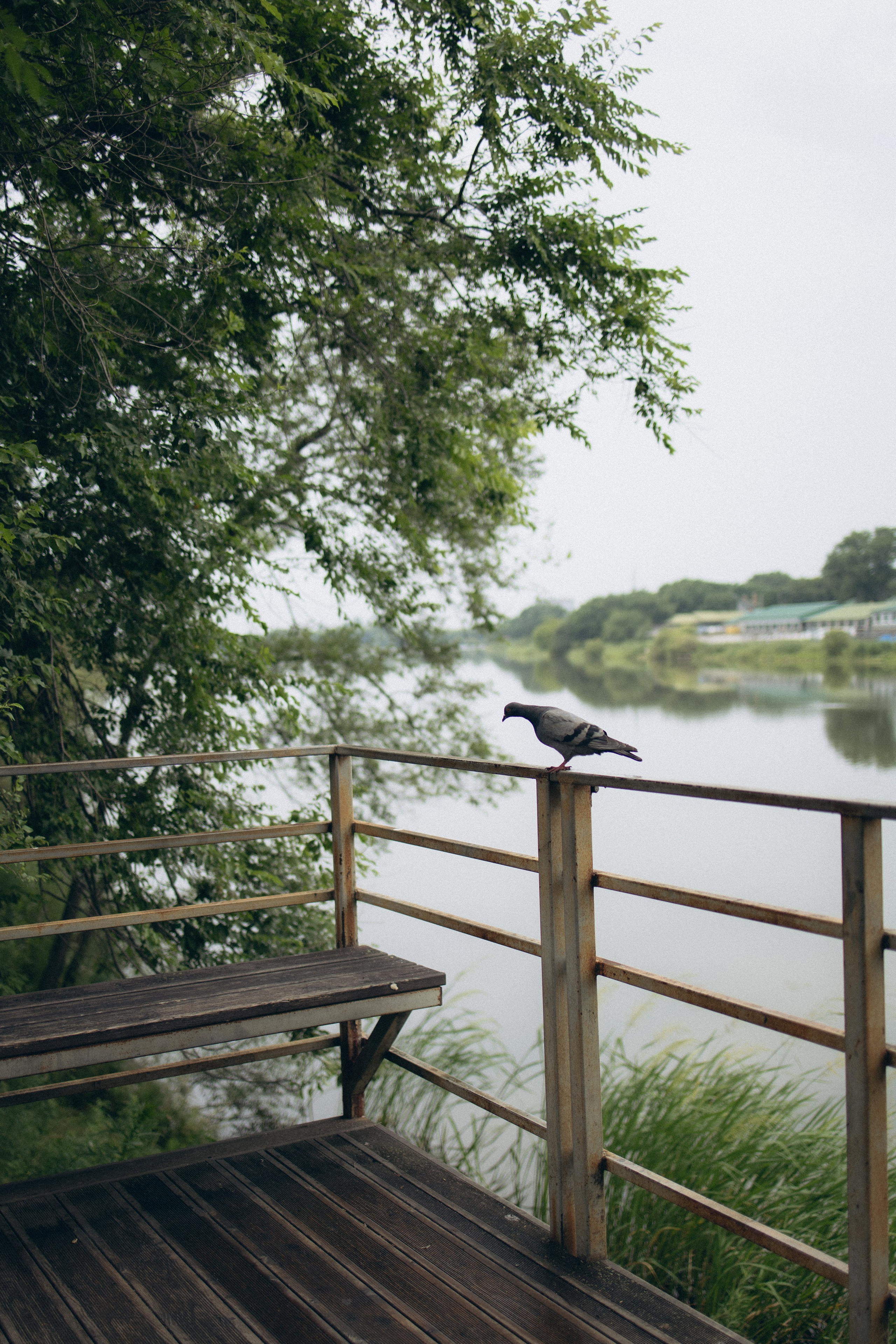 Анна. Фотограф Виктория Куприянова