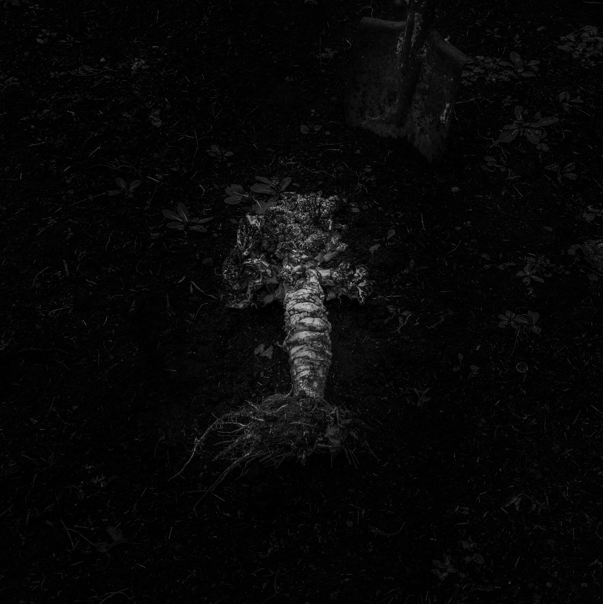 Потухший очаг. Врубель Роман