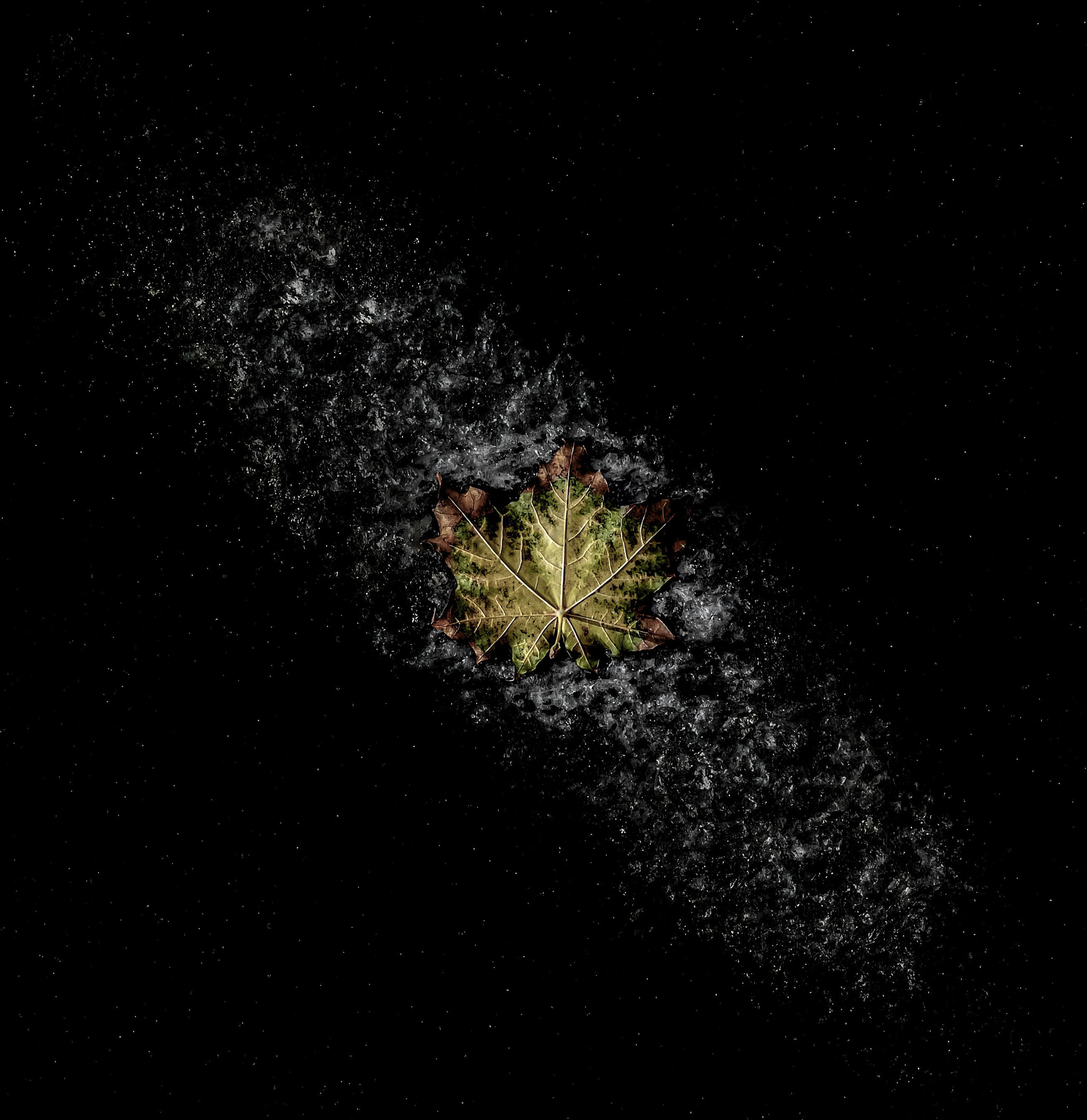 Одиночные работы. Врубель Роман