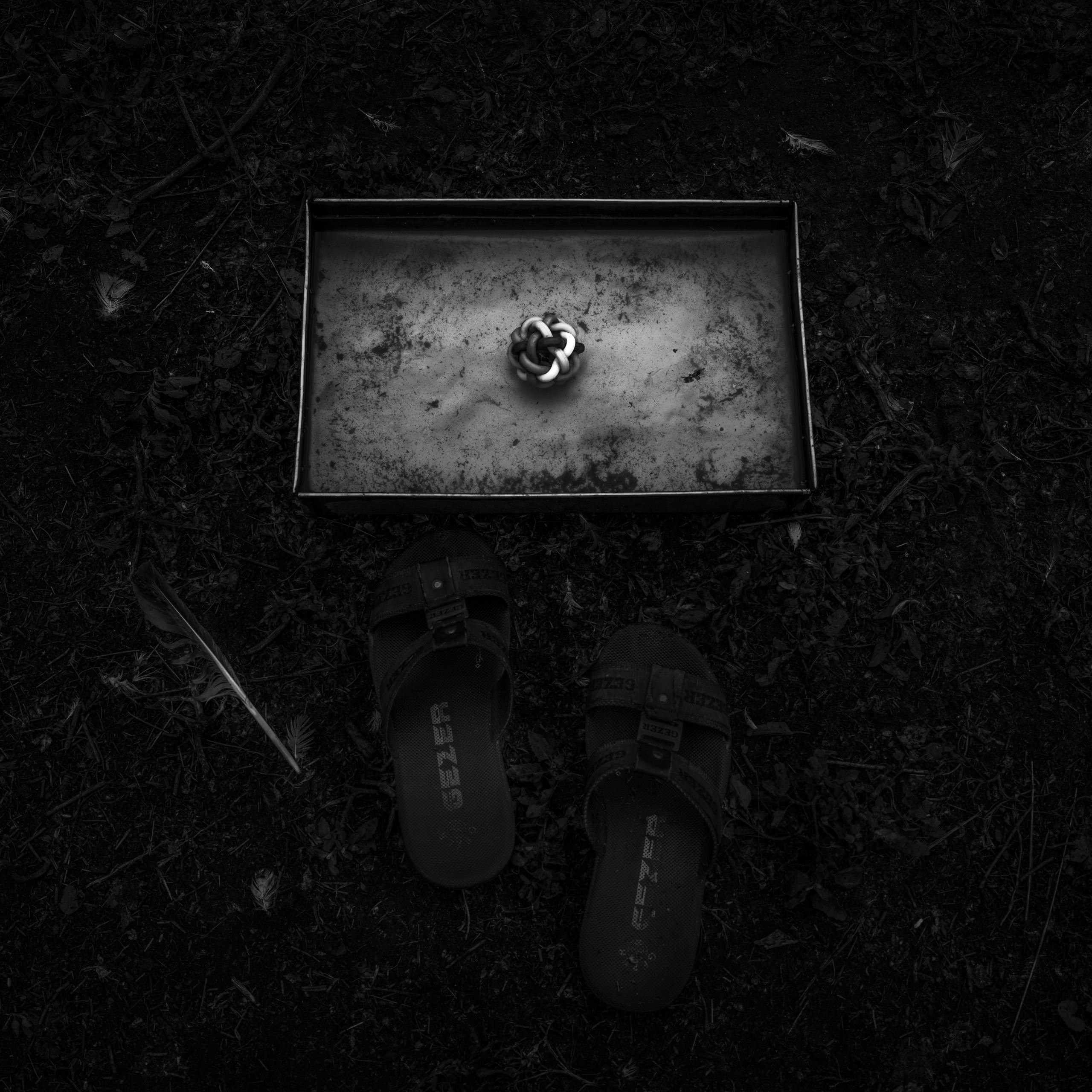 Потухший очаг. Врубель Роман