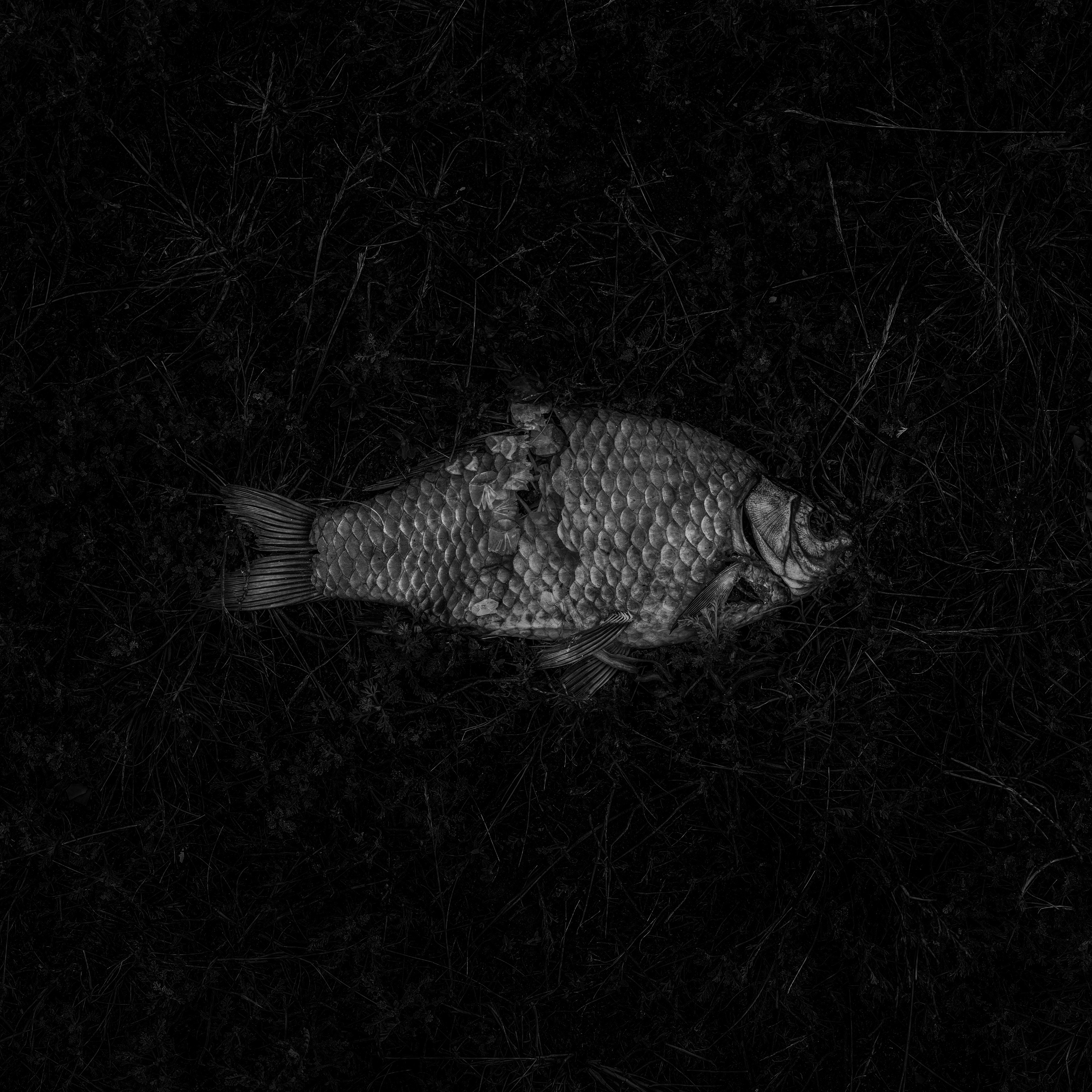 Потухший очаг. Врубель Роман