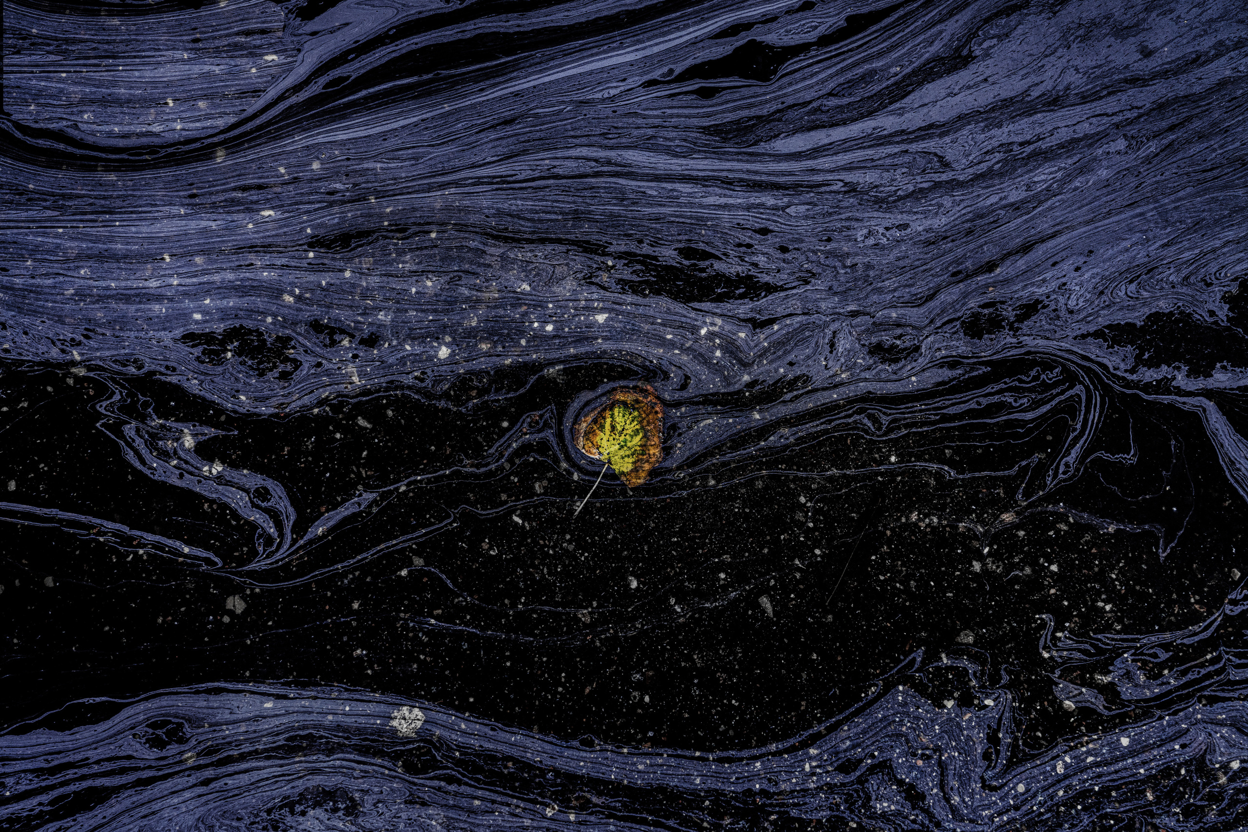 Одиночные работы. Врубель Роман