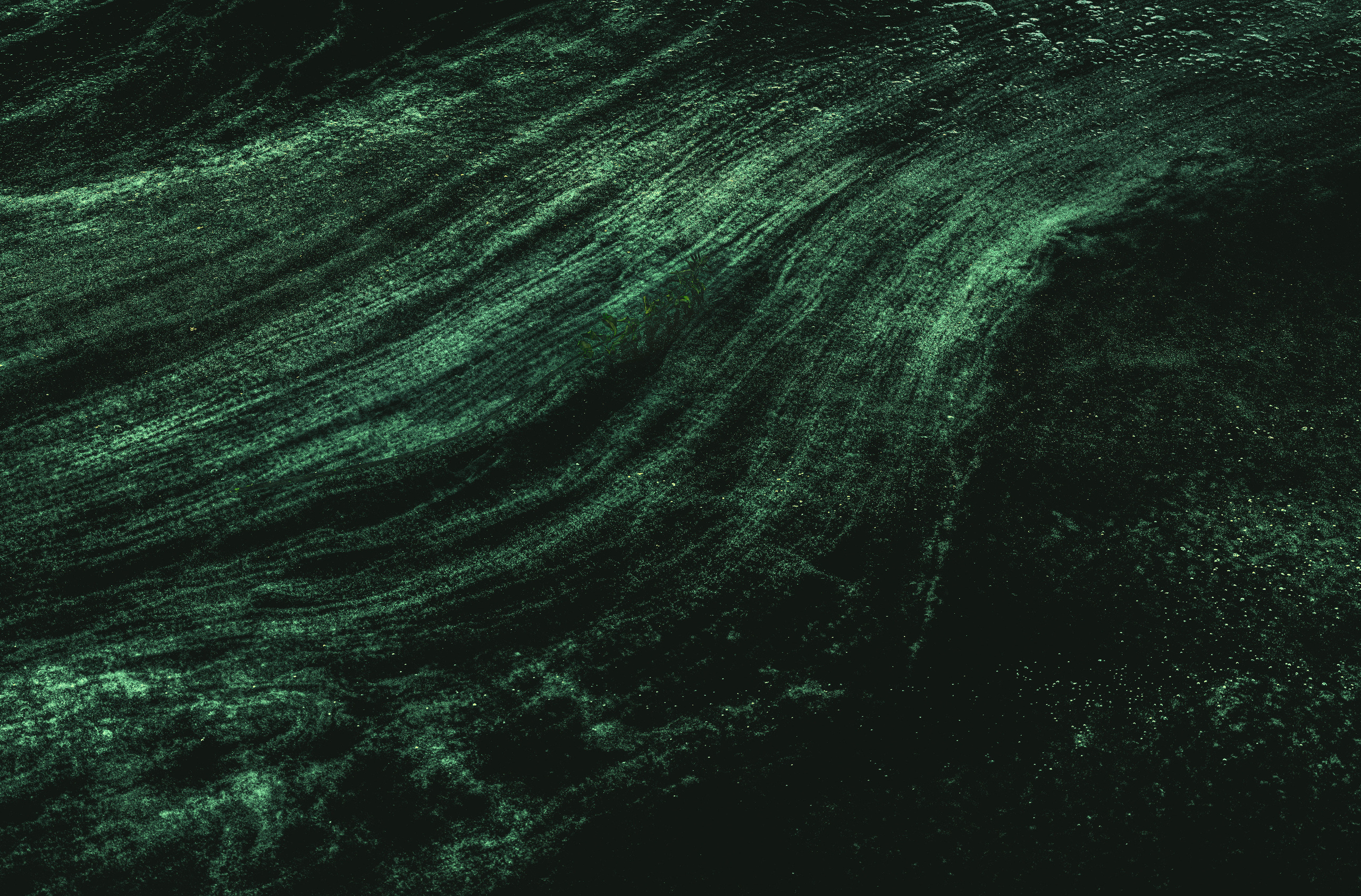 Одиночные работы. Врубель Роман