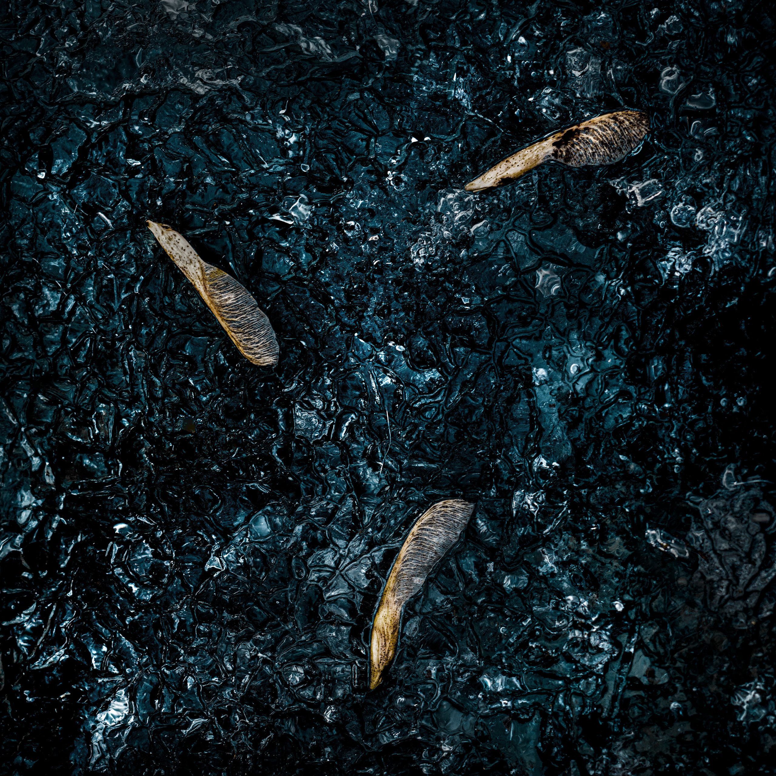 Одиночные работы. Врубель Роман